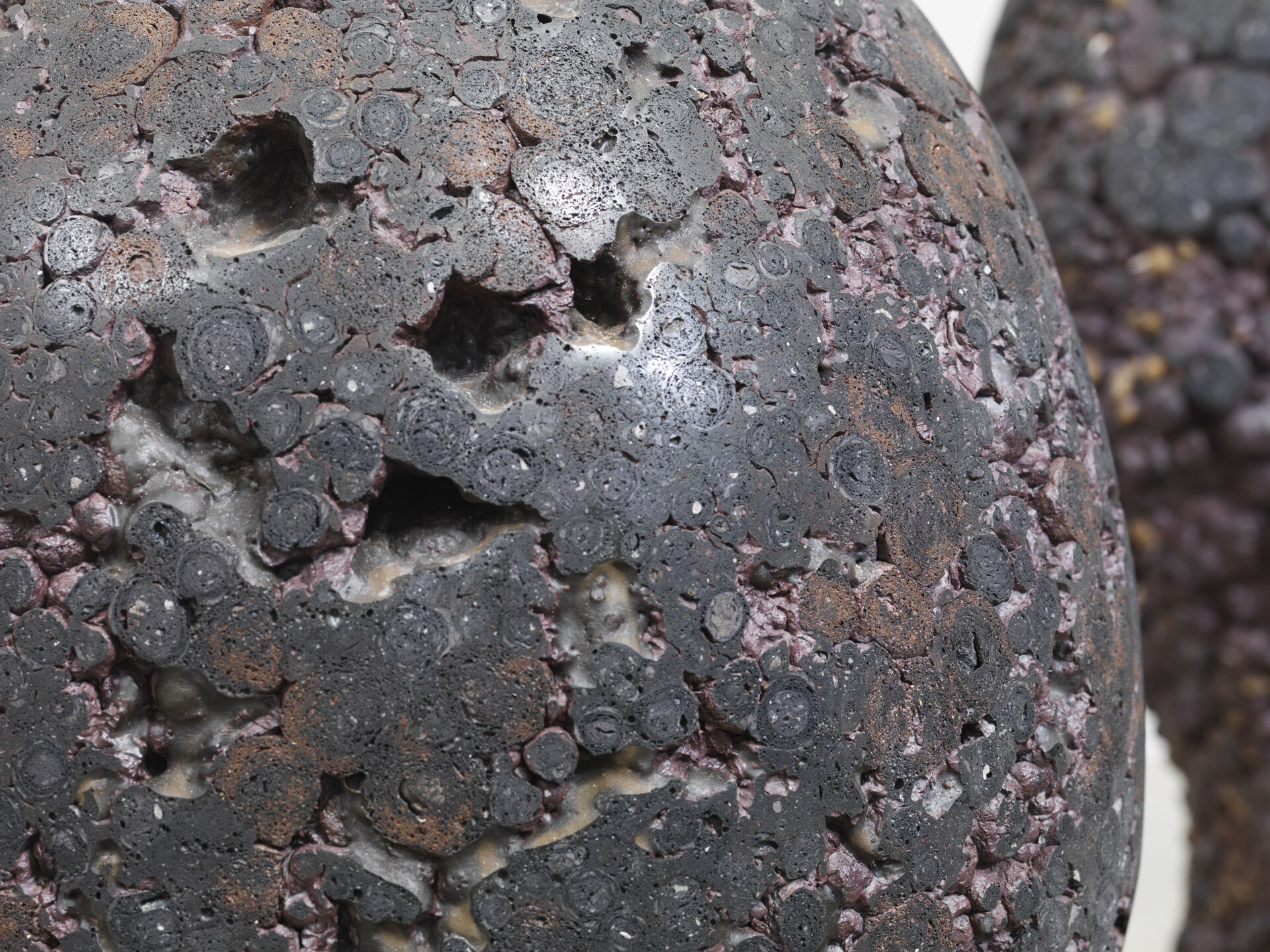 CC 0025 CC 0027 0 03