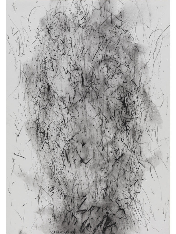 Claudi Casanovas 0039 01