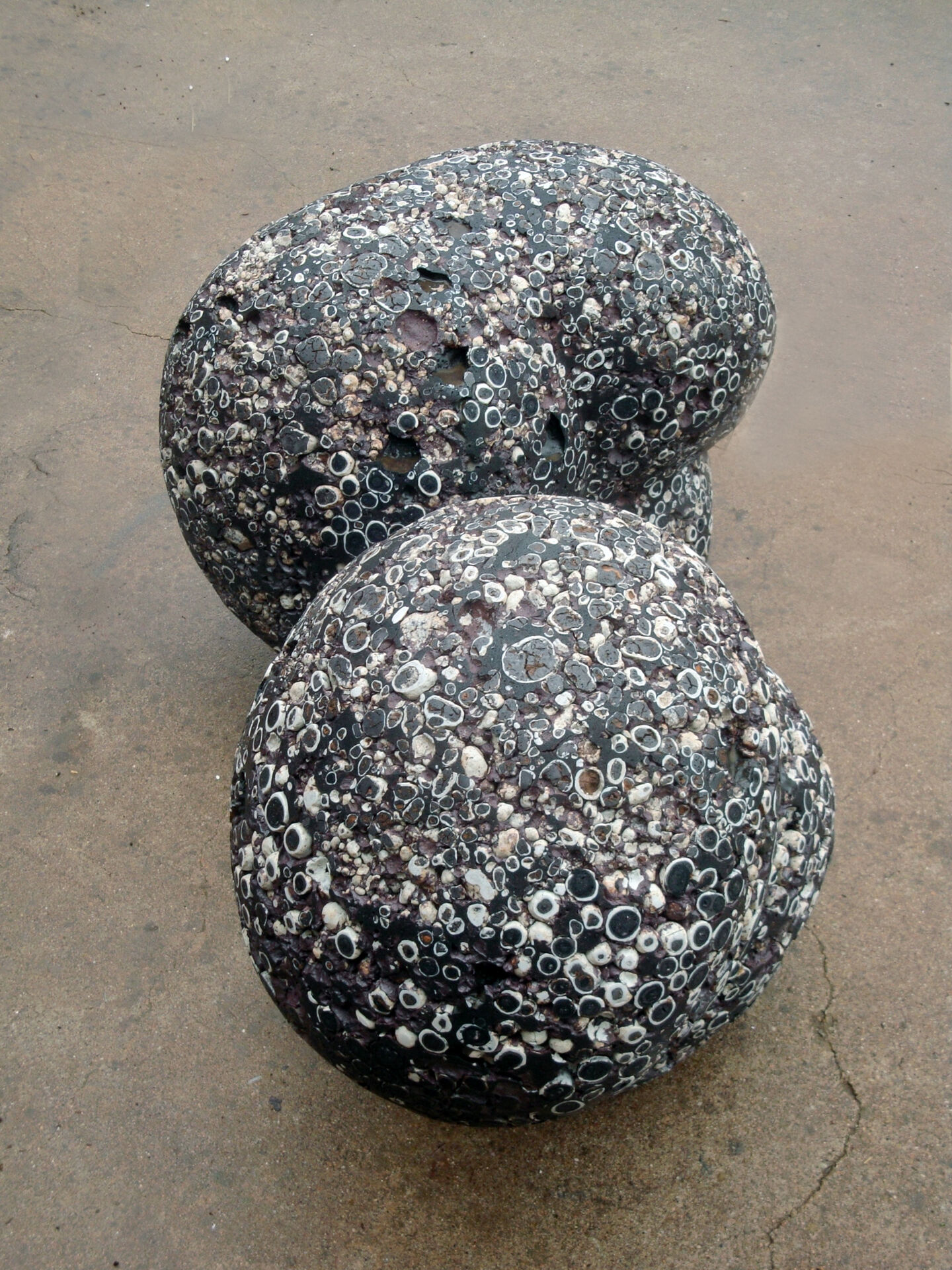 claudi casanovas 0023 03