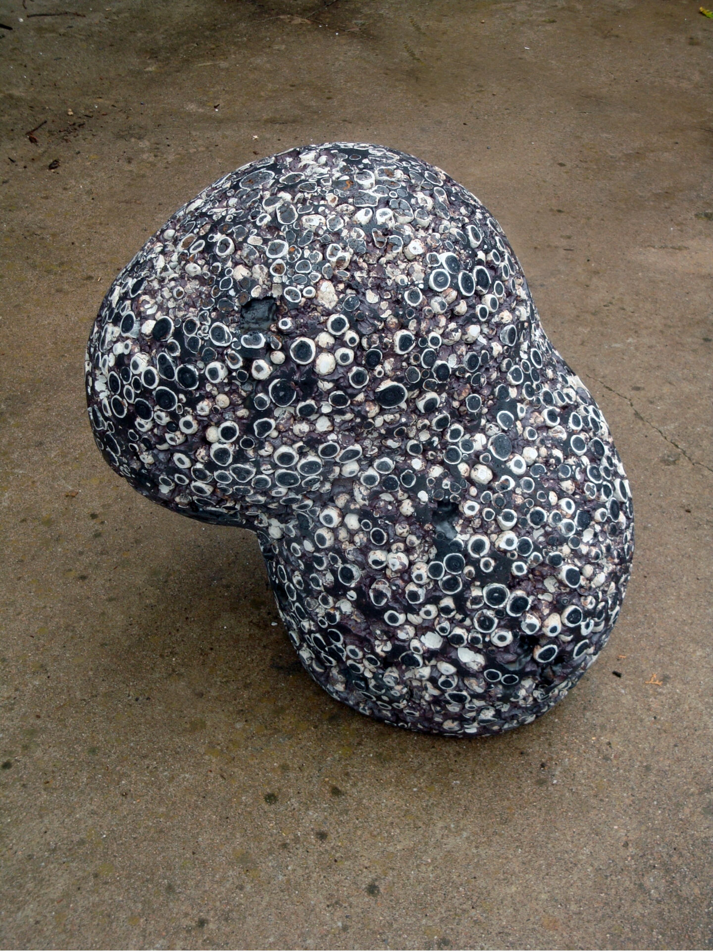 claudi casanovas 0023 04