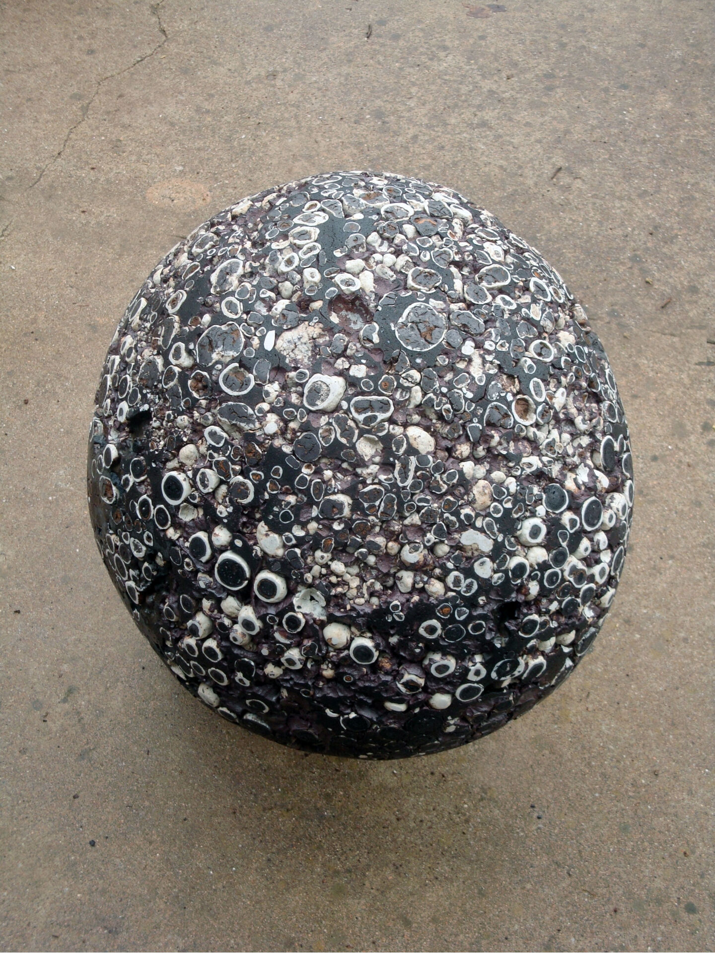 claudi casanovas 0023 05