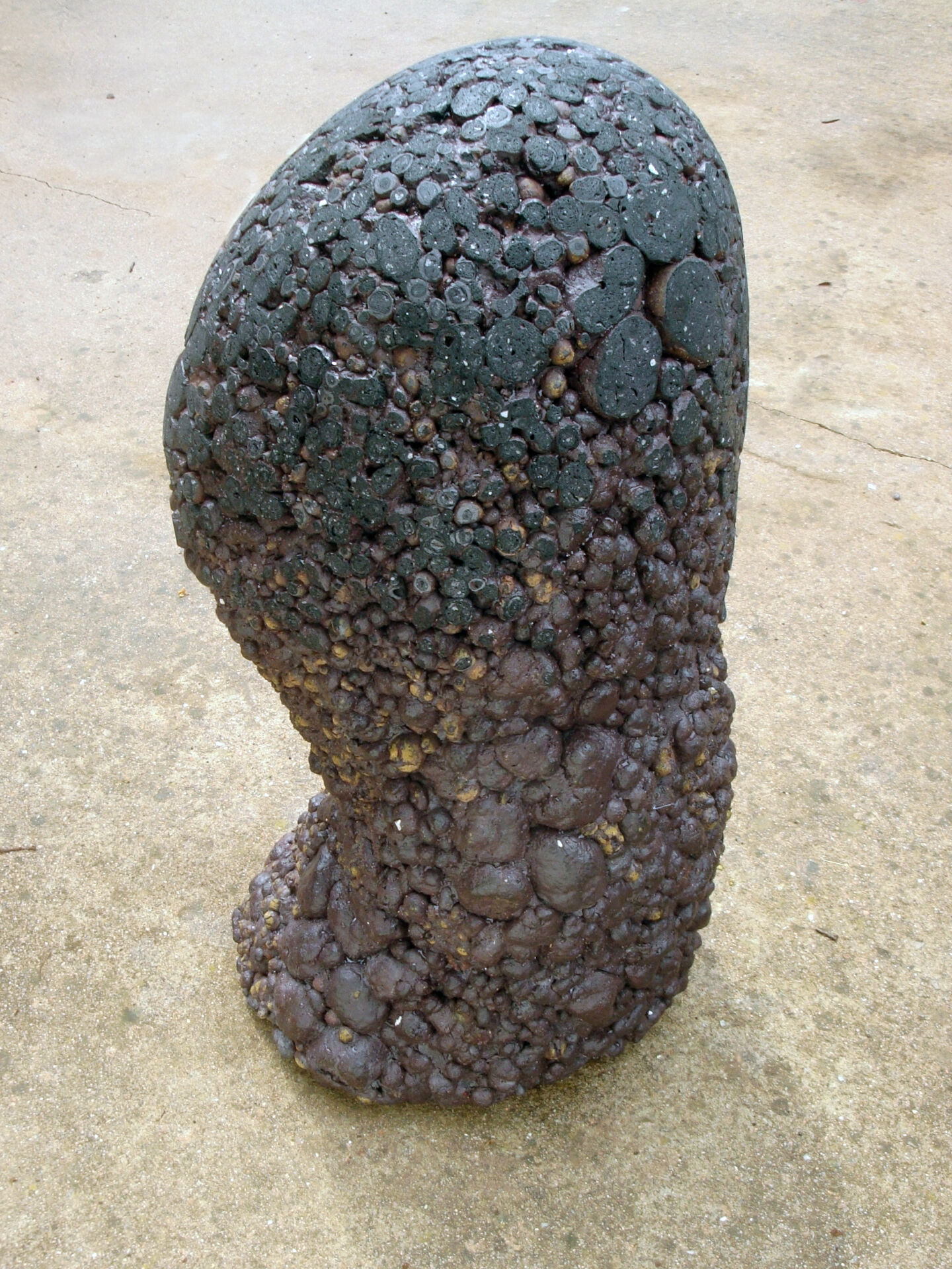 claudi casanovas 0025 04