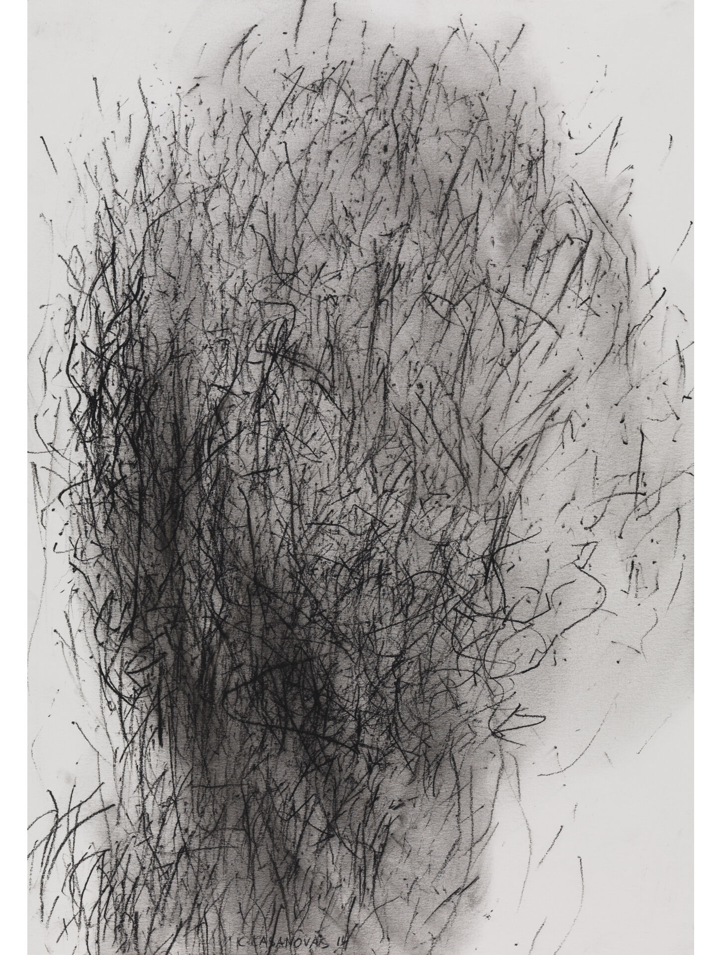 claudi casanovas 0035 B 01