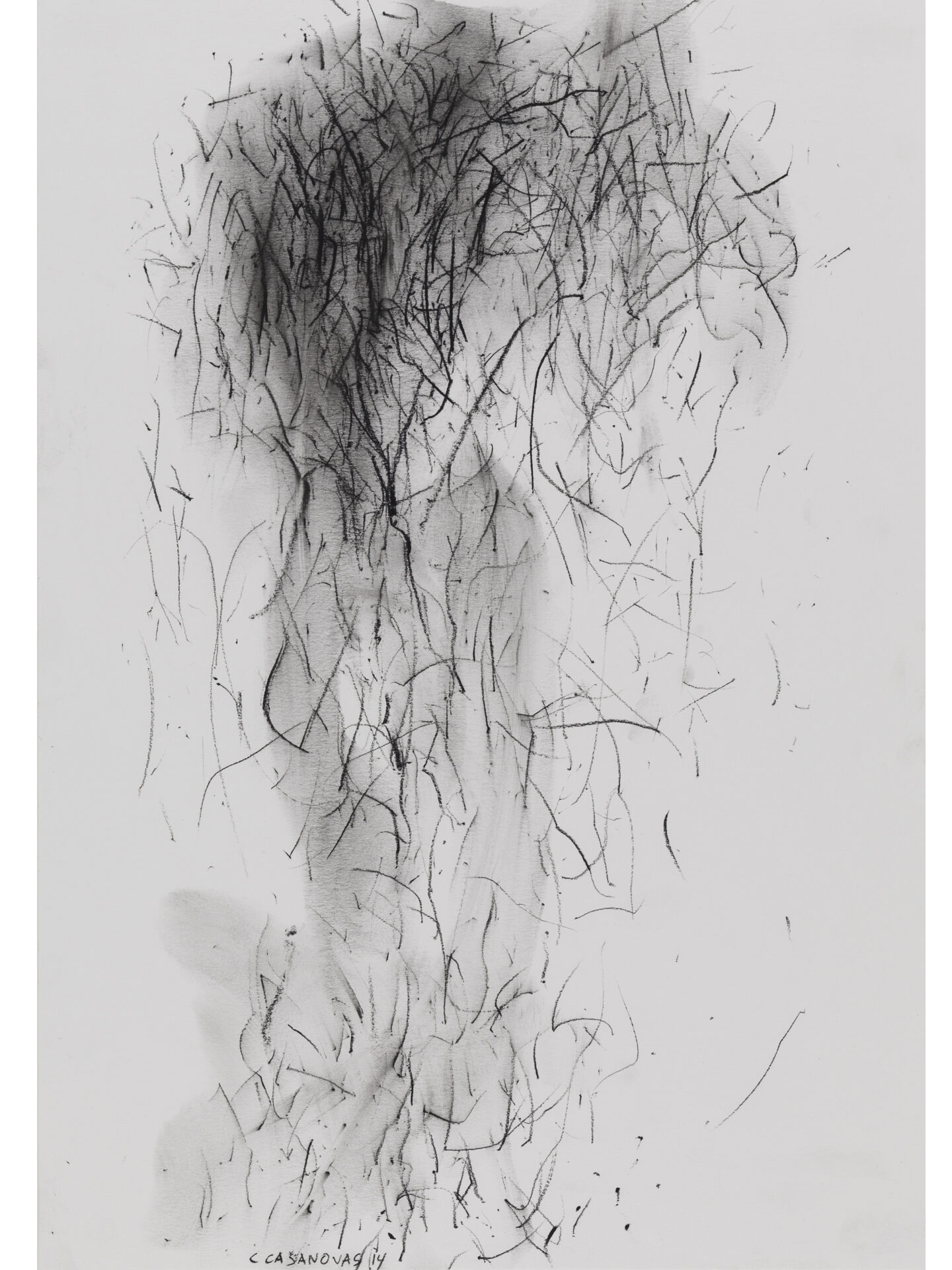 claudi casanovas 0038 B 01