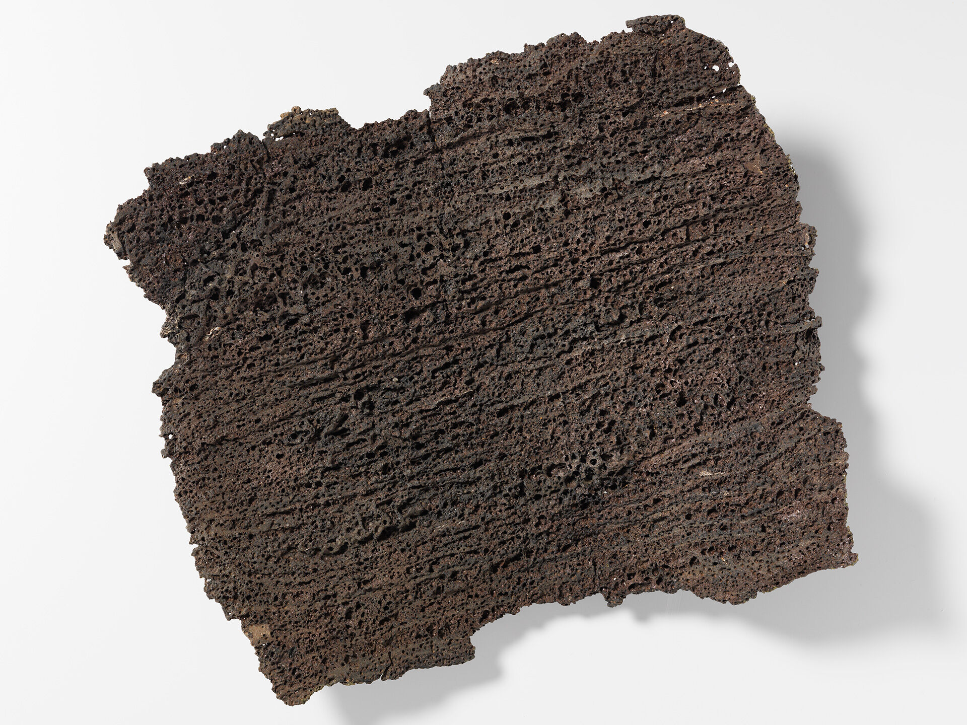 claudi casanovas 0054 05