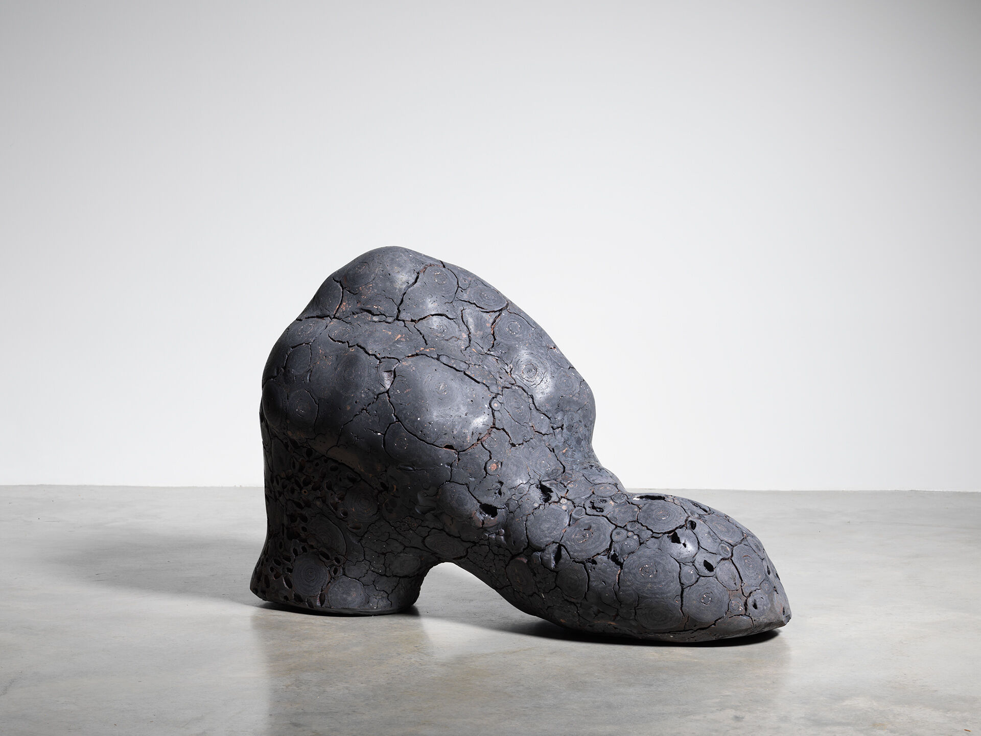 claudi casanovas 0060 02