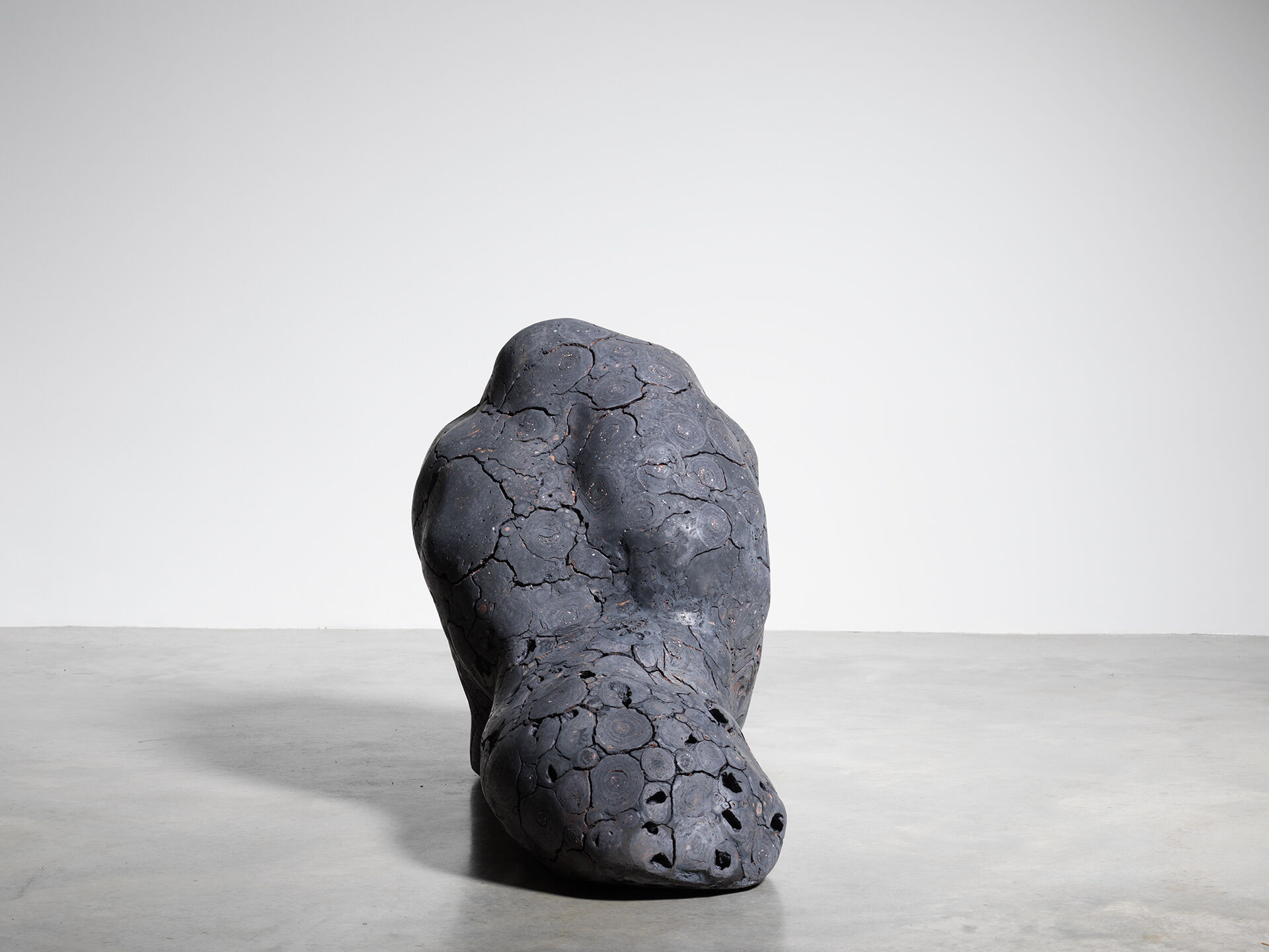 claudi casanovas 0060 04