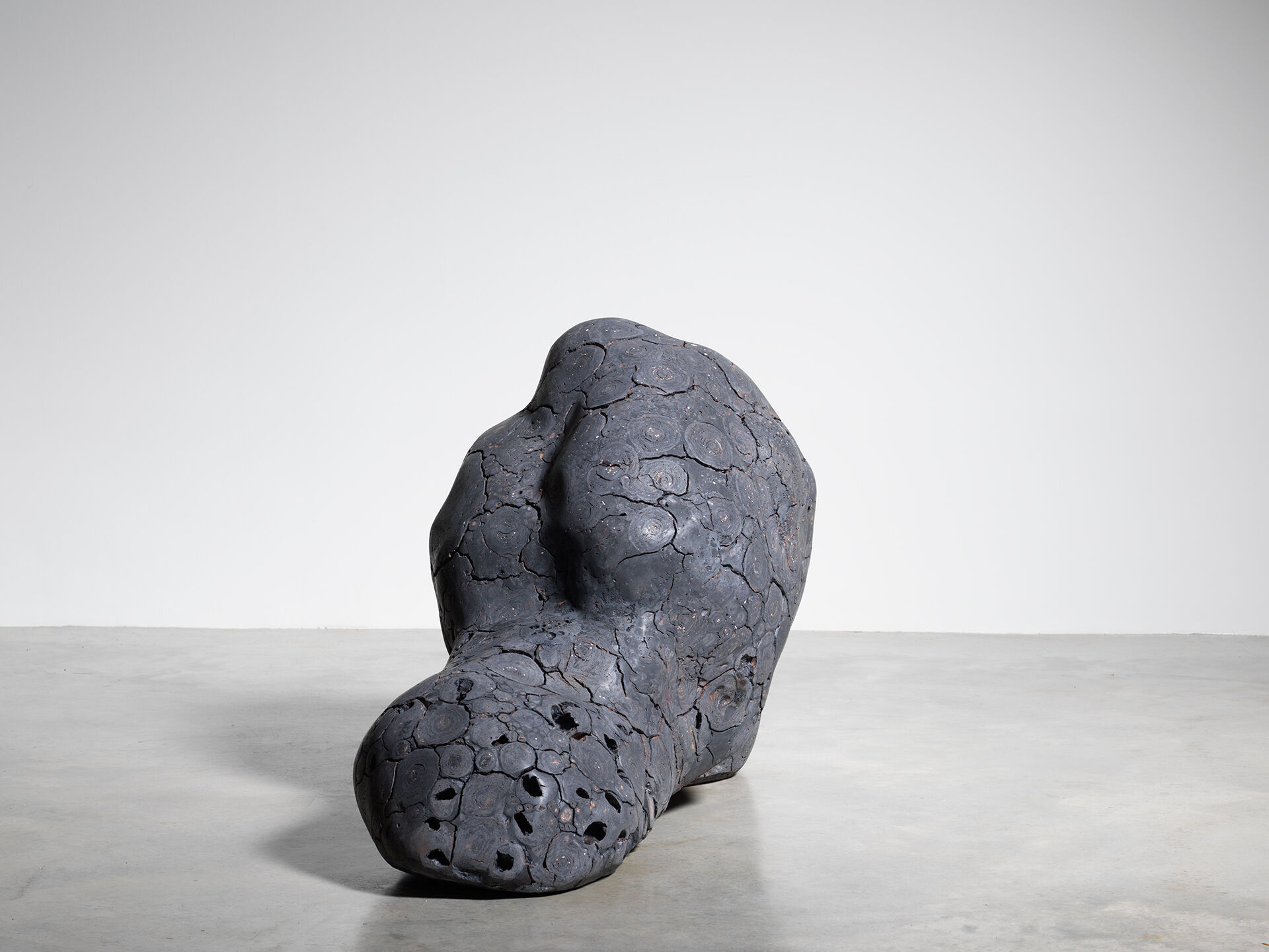 claudi casanovas 0060 05