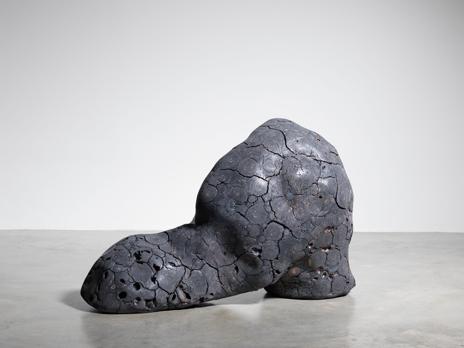 claudi casanovas 0060 07