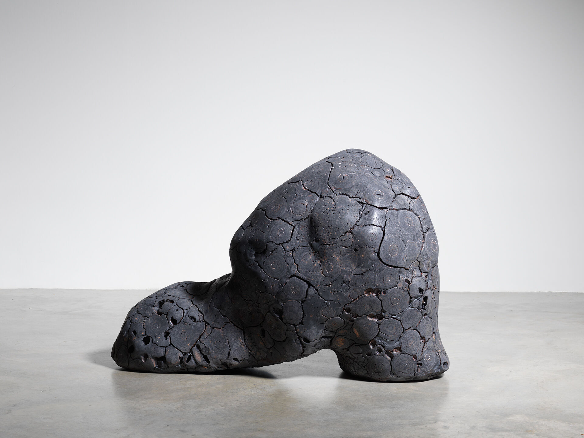 claudi casanovas 0060 08