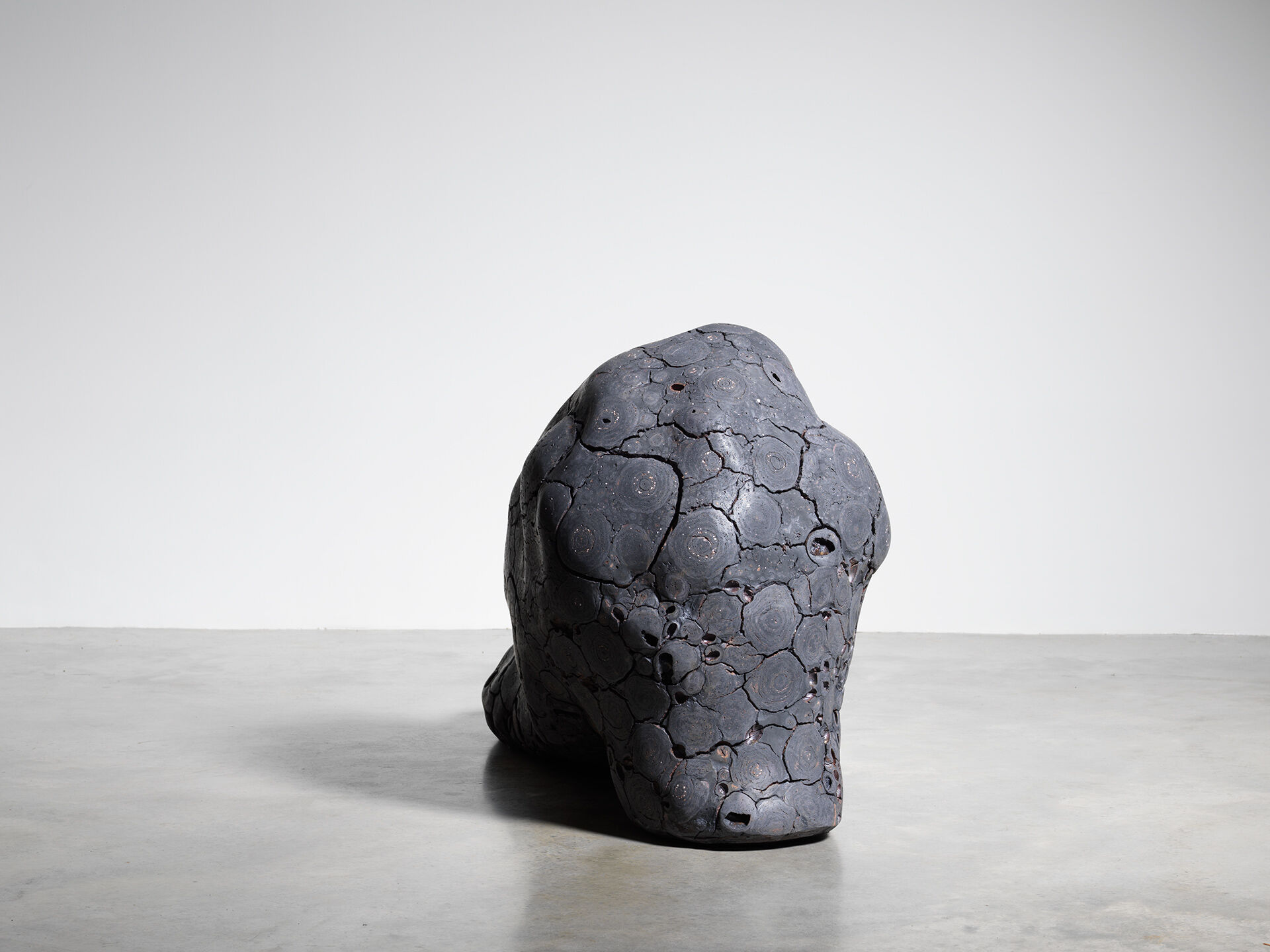 claudi casanovas 0060 10