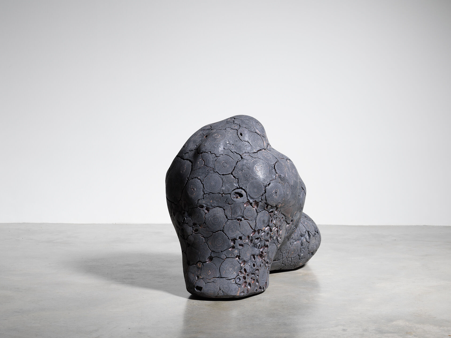 claudi casanovas 0060 11