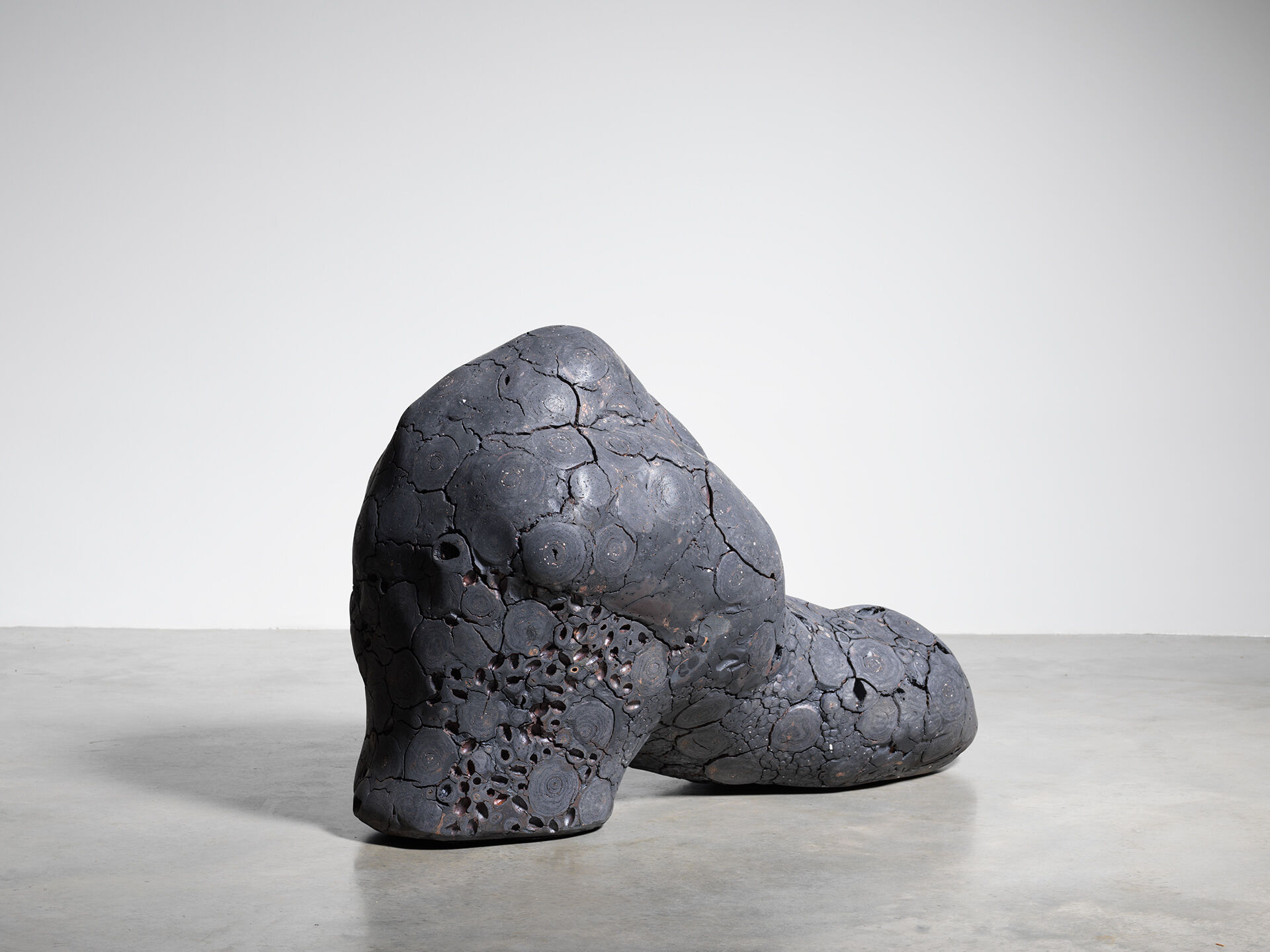 claudi casanovas 0060 12