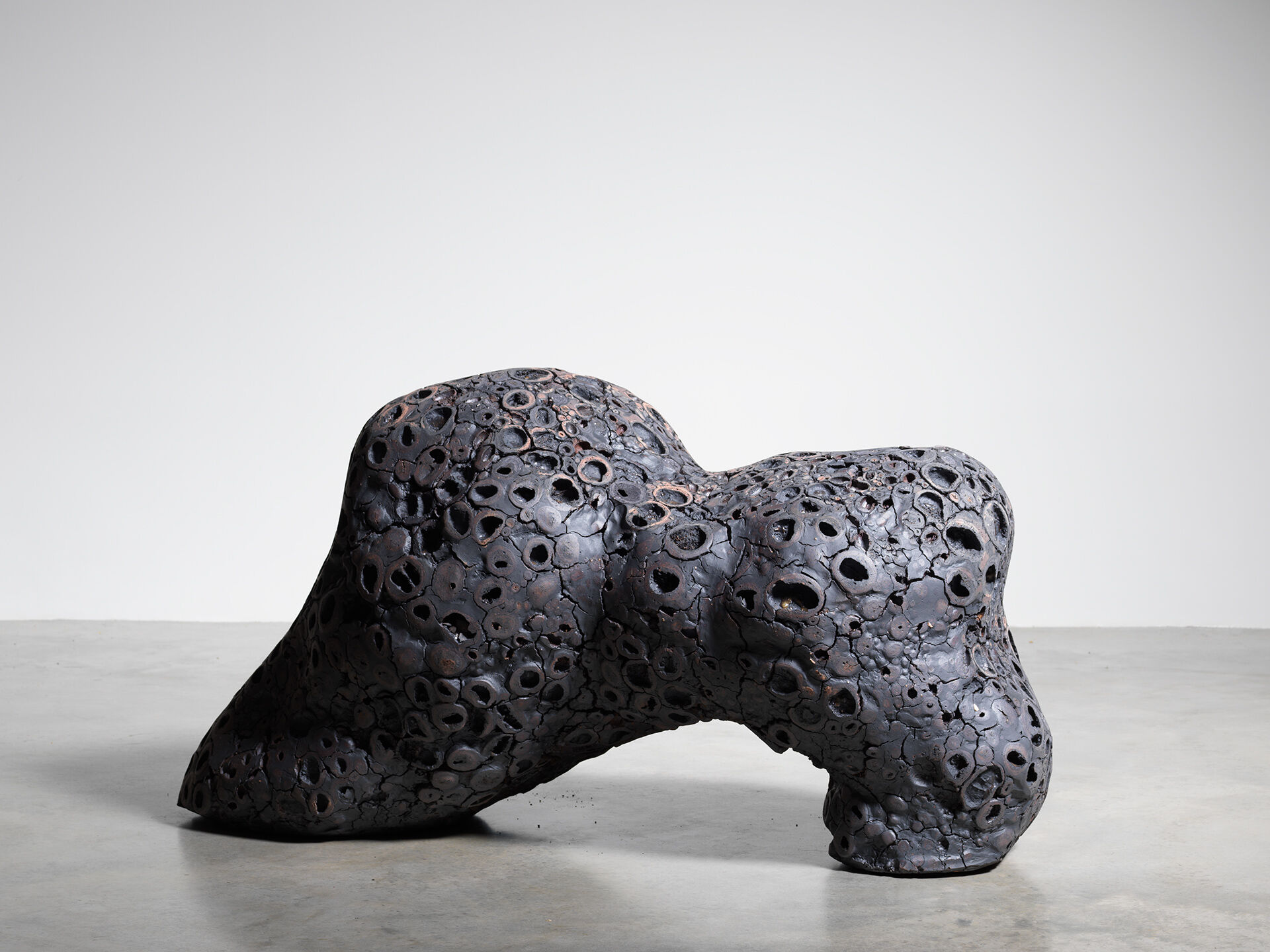 claudi casanovas 0061 02