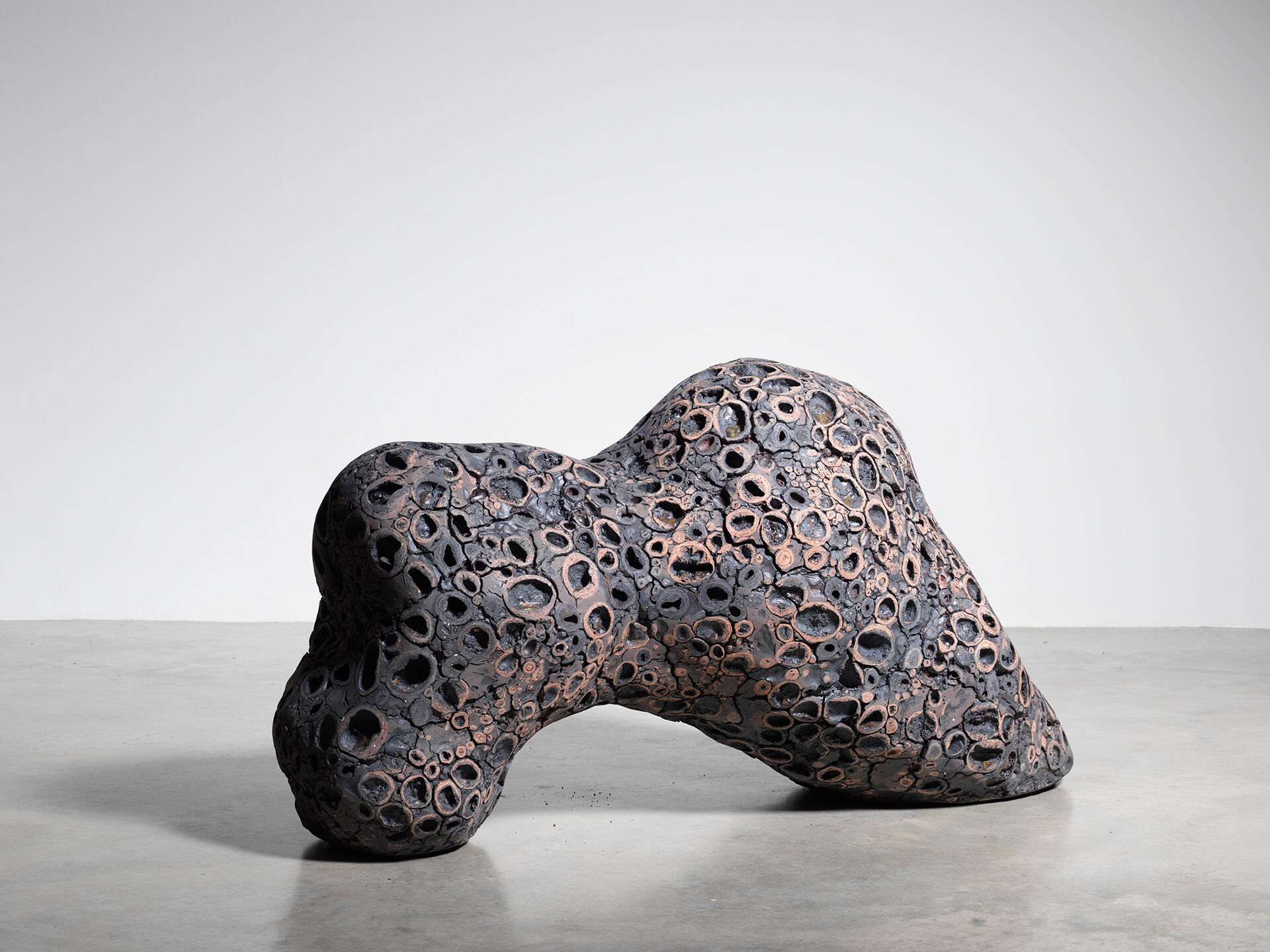 claudi casanovas 0061 09