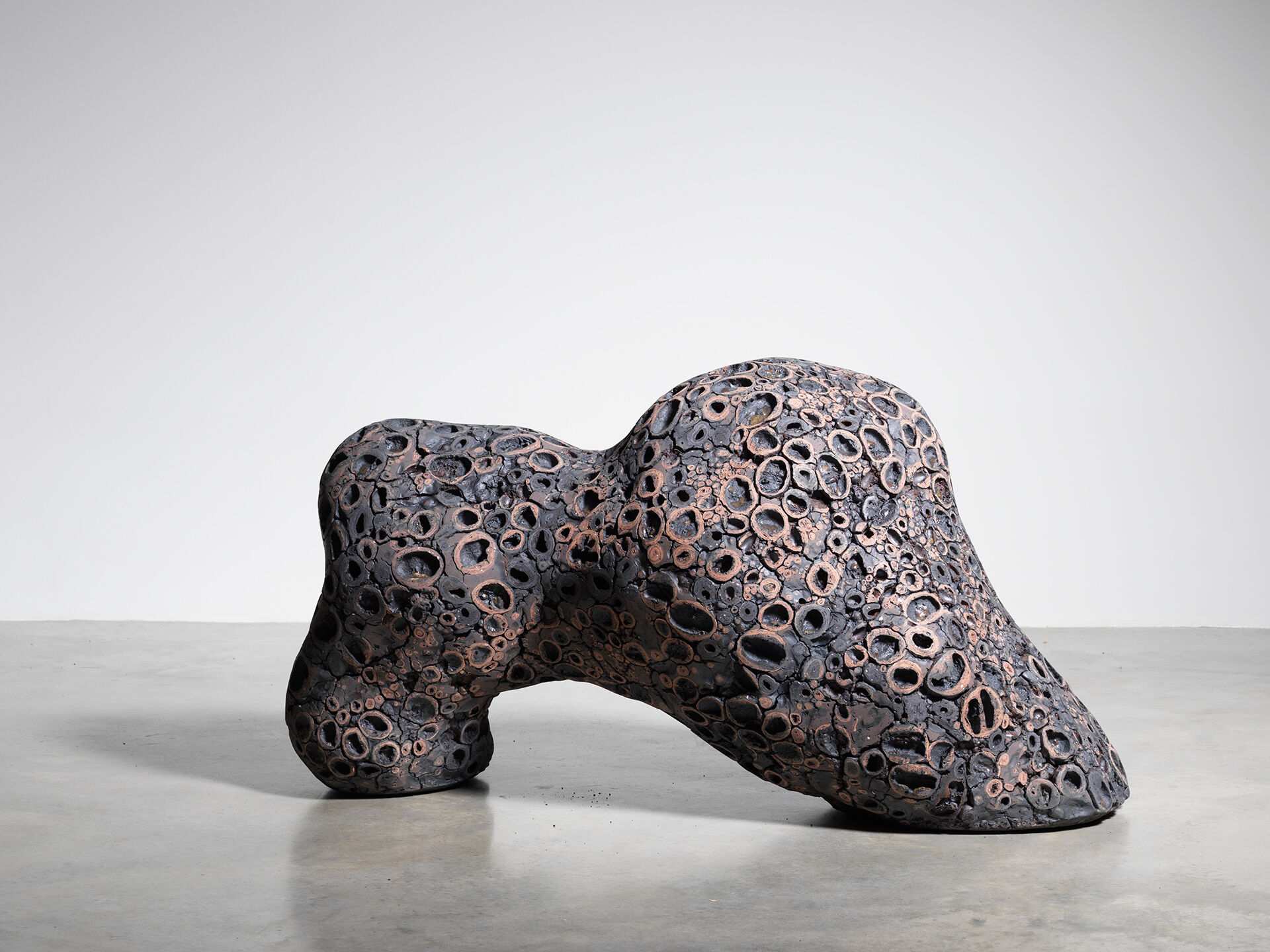 claudi casanovas 0061 11