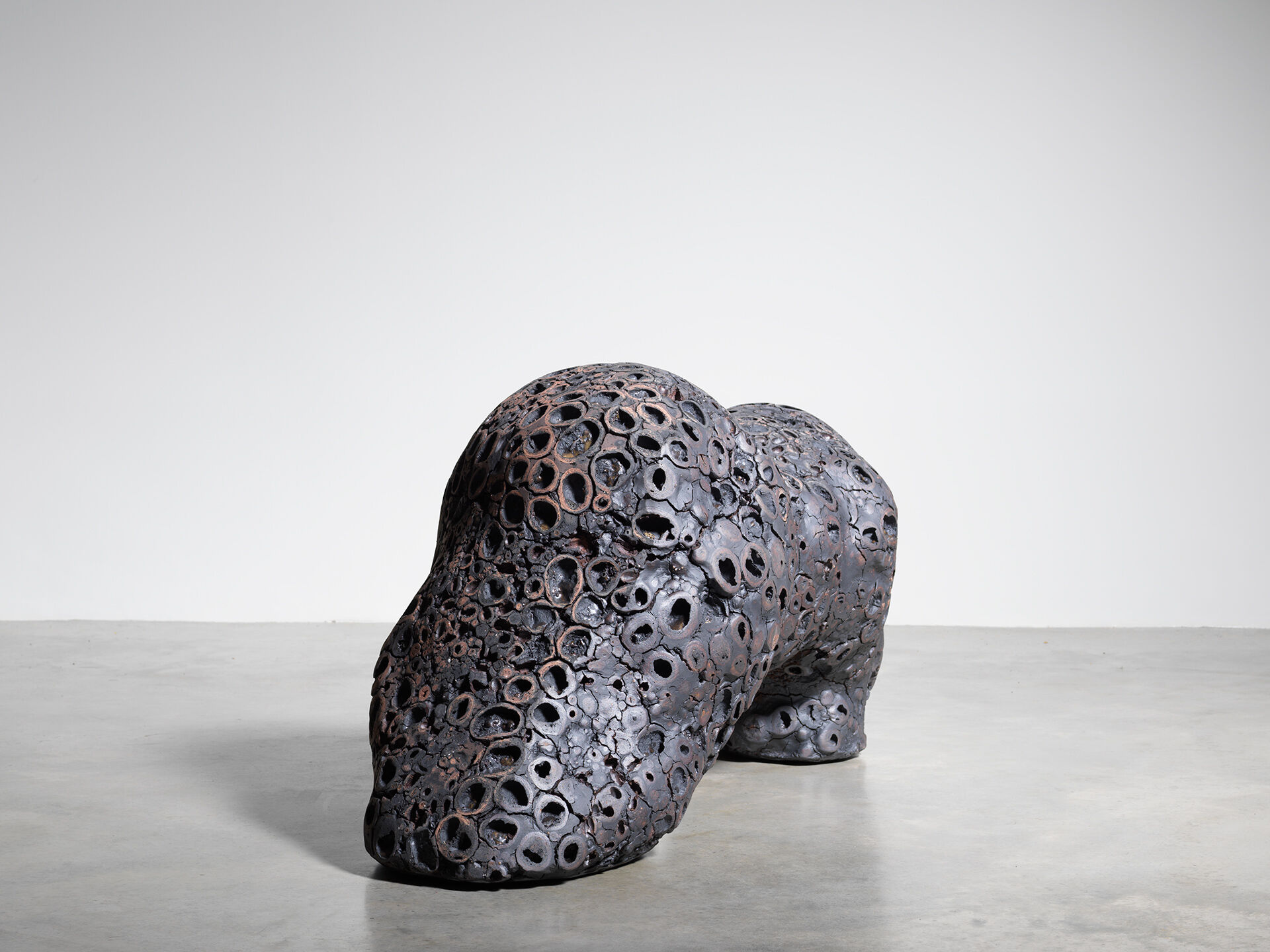 claudi casanovas 0061 15