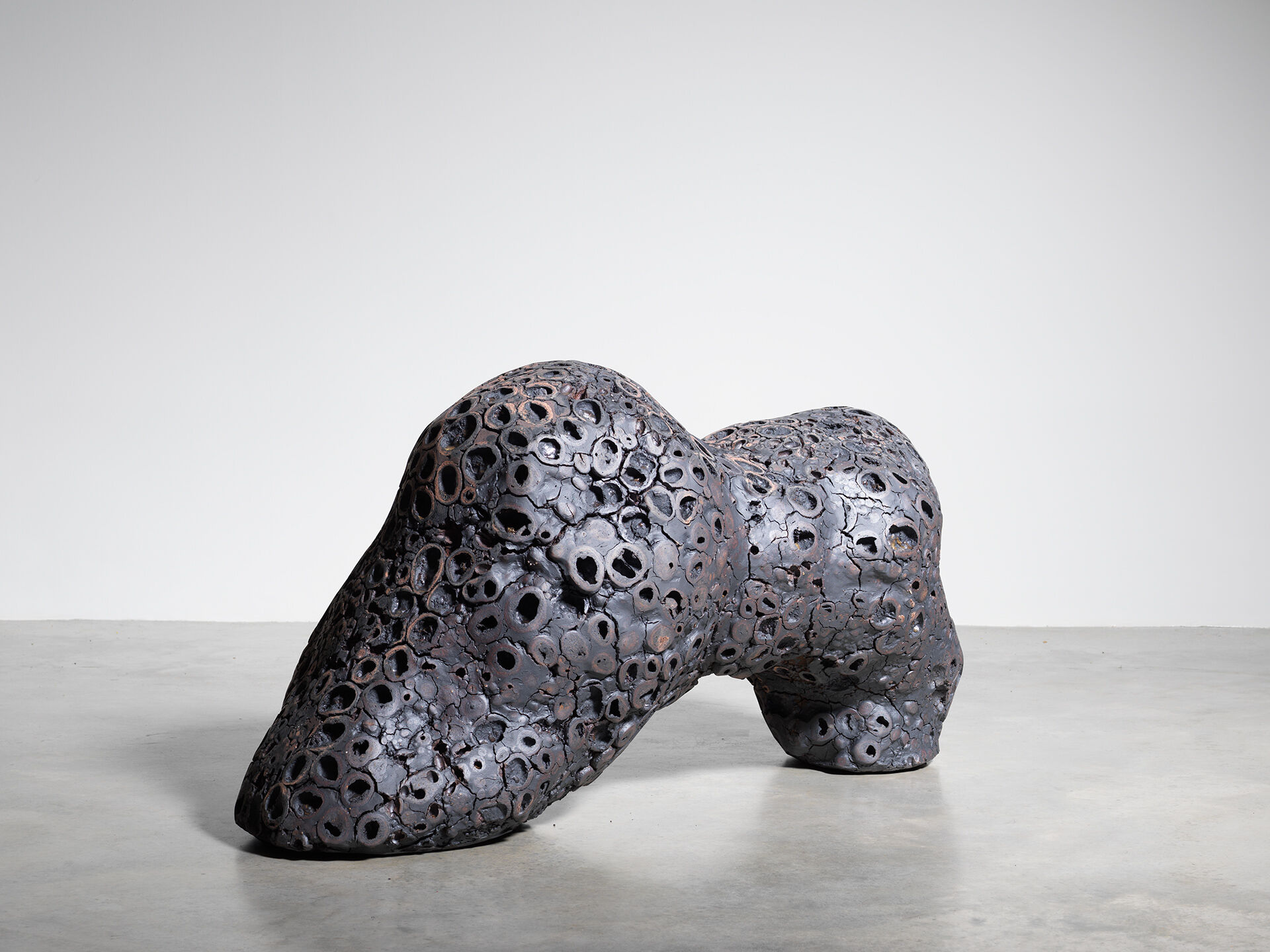 claudi casanovas 0061 16