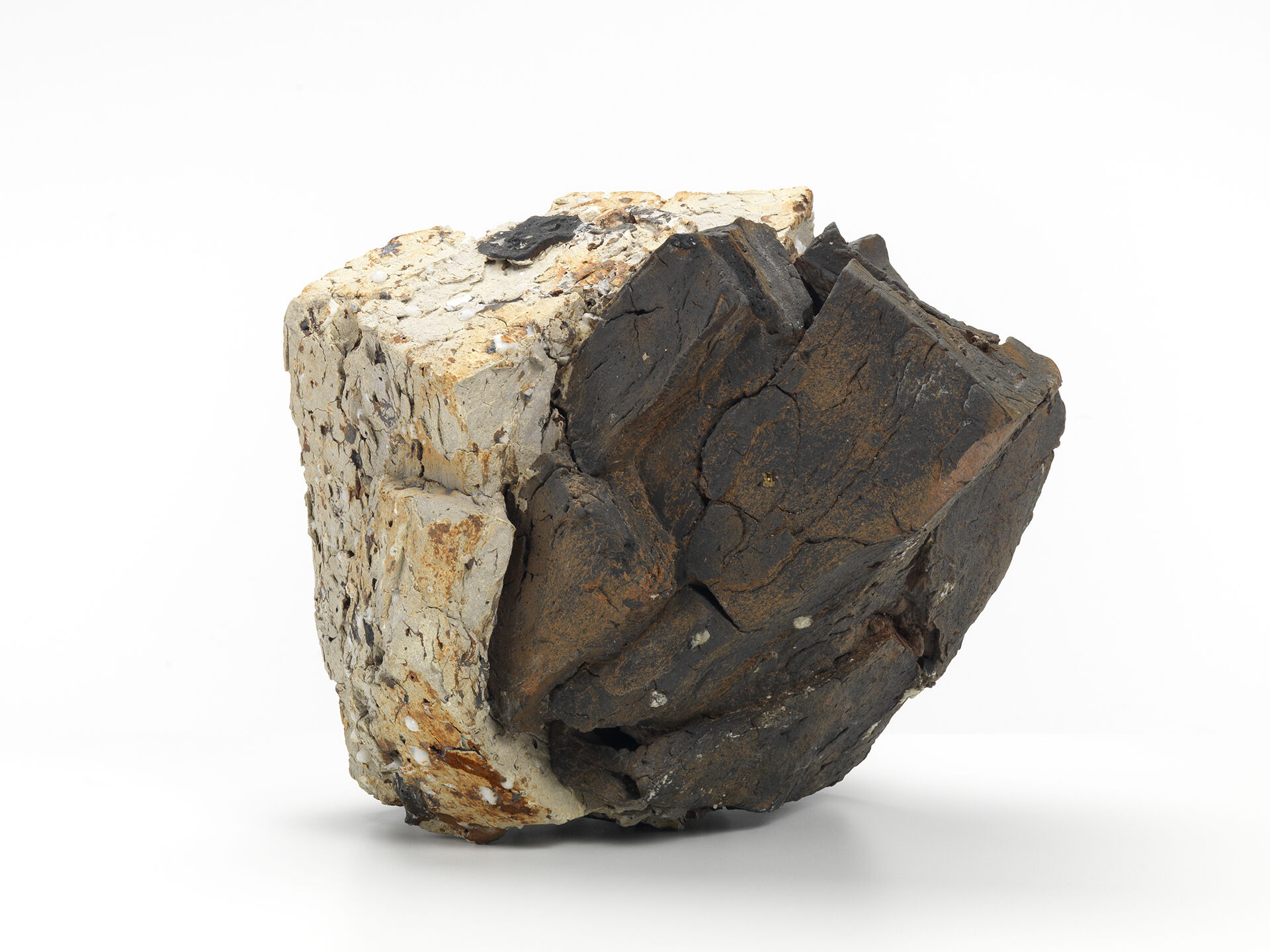 claudi casanovas cc 0053 B 02