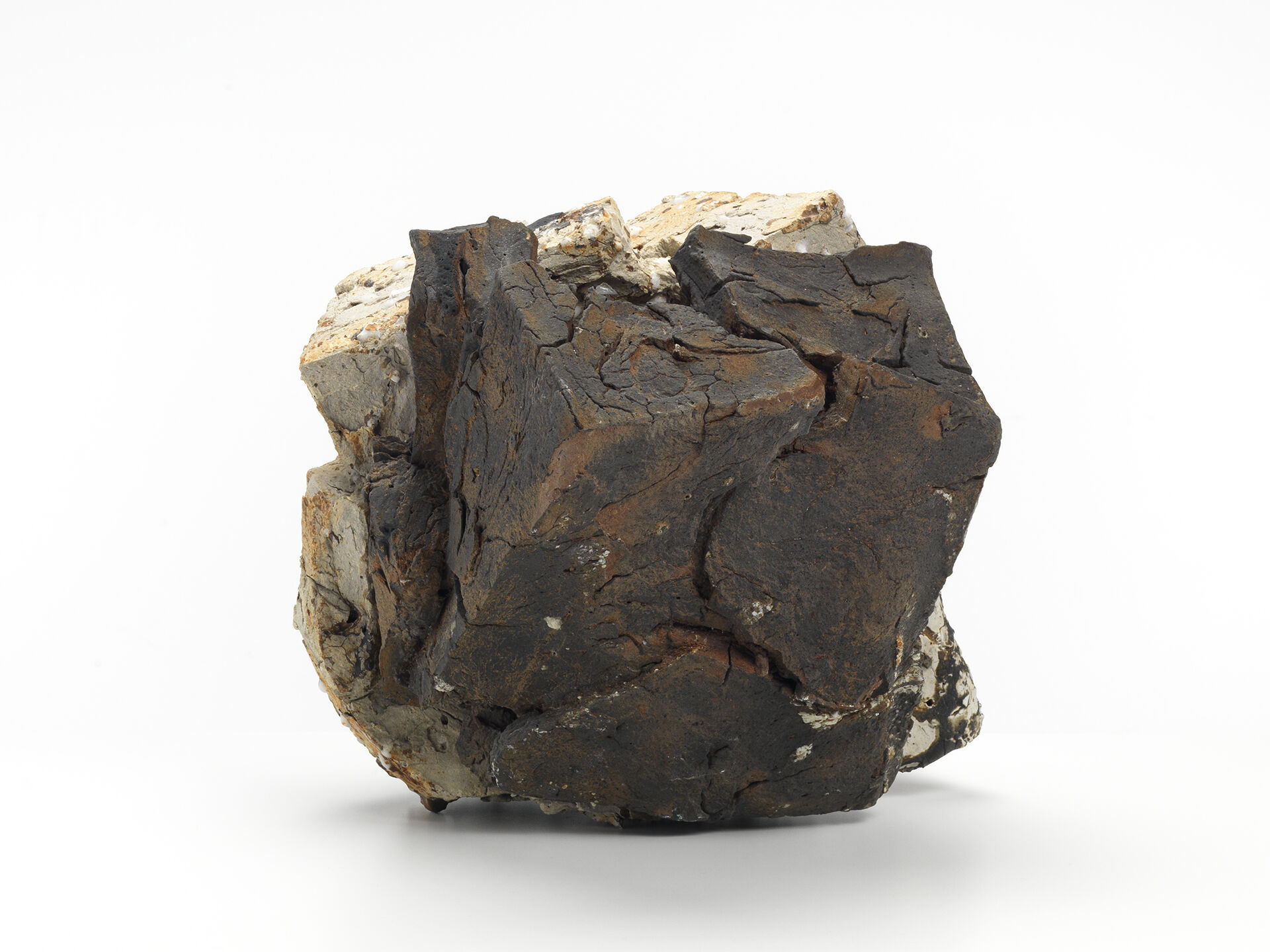 claudi casanovas cc 0053 B 03