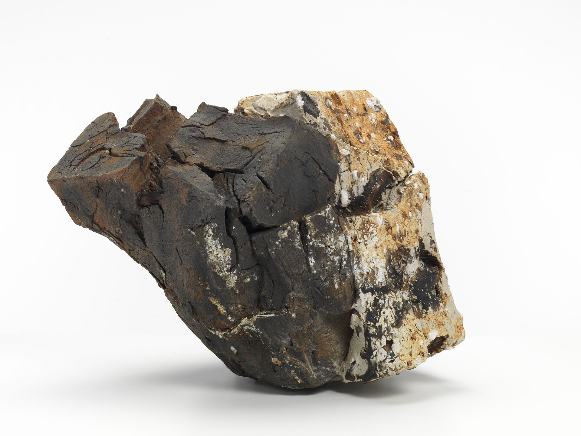 claudi casanovas cc 0053 B 05