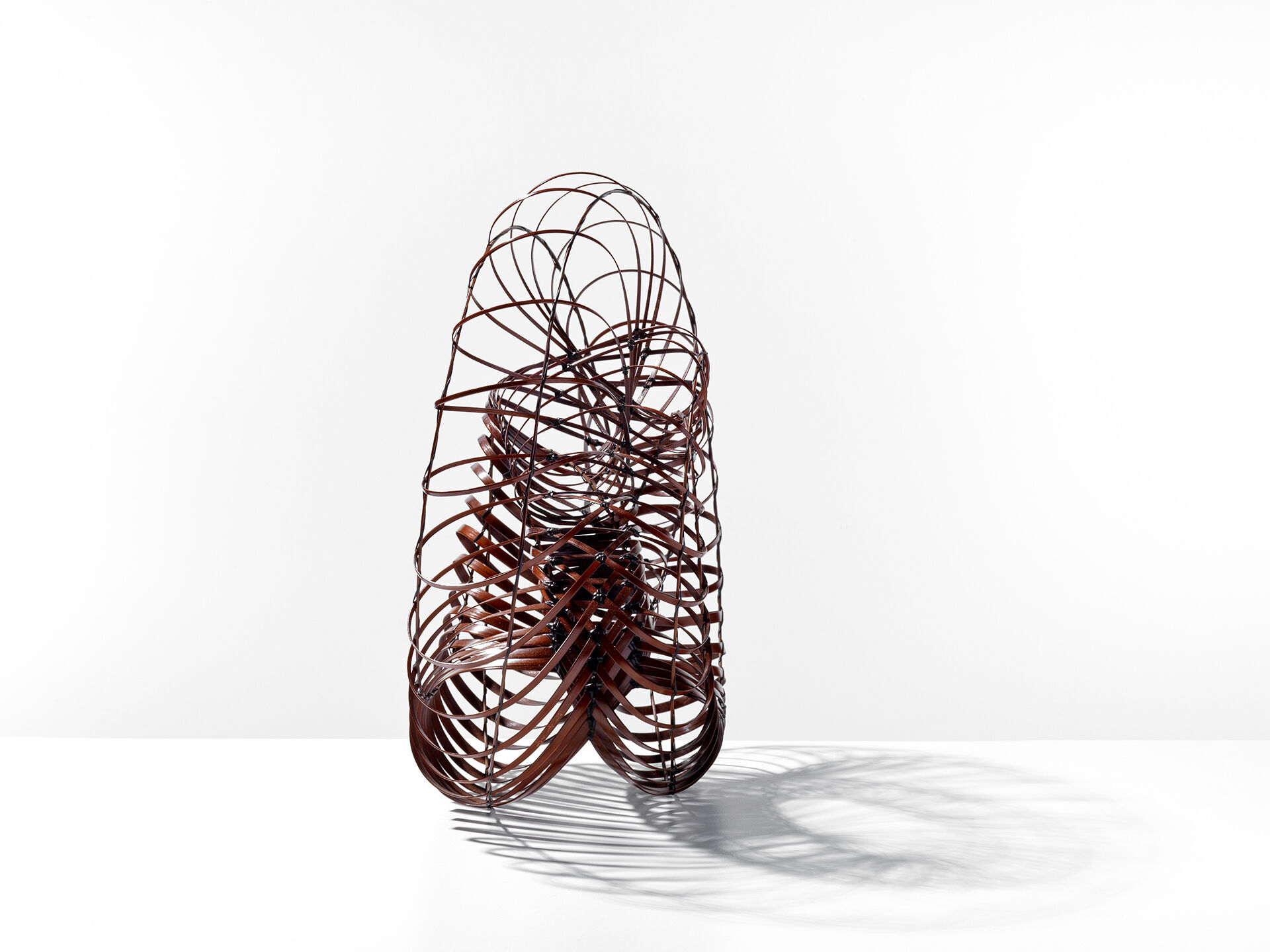 Chikuunsai IV Tanabe CT 0001 03