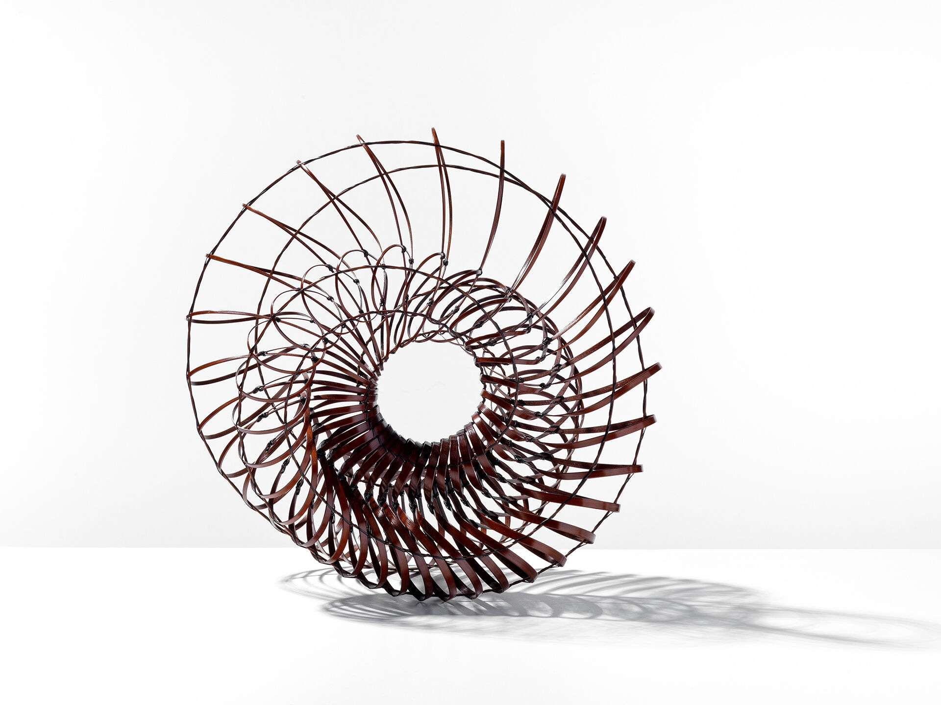 Chikuunsai IV Tanabe CT 0001 05