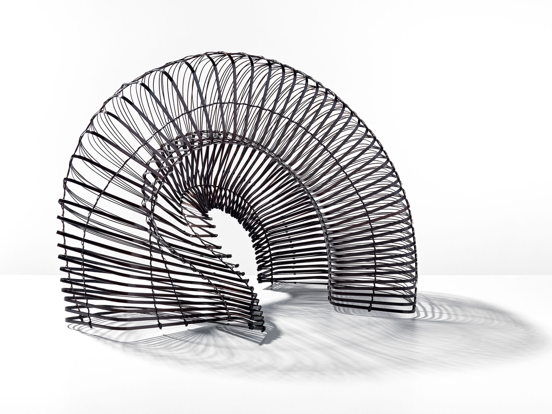 Chikuunsai IV Tanabe CT 0003 01