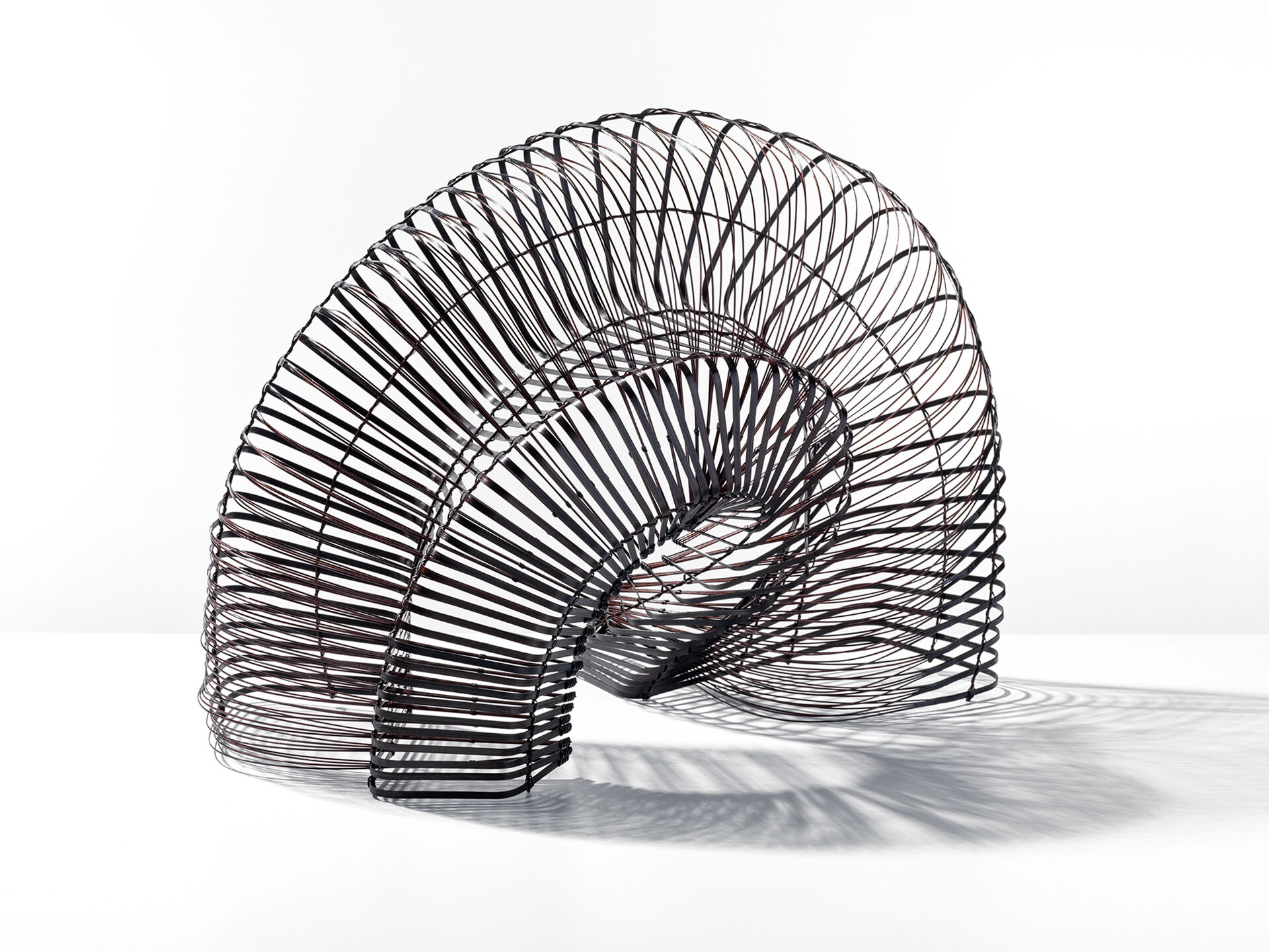 Chikuunsai IV Tanabe CT 0003 04