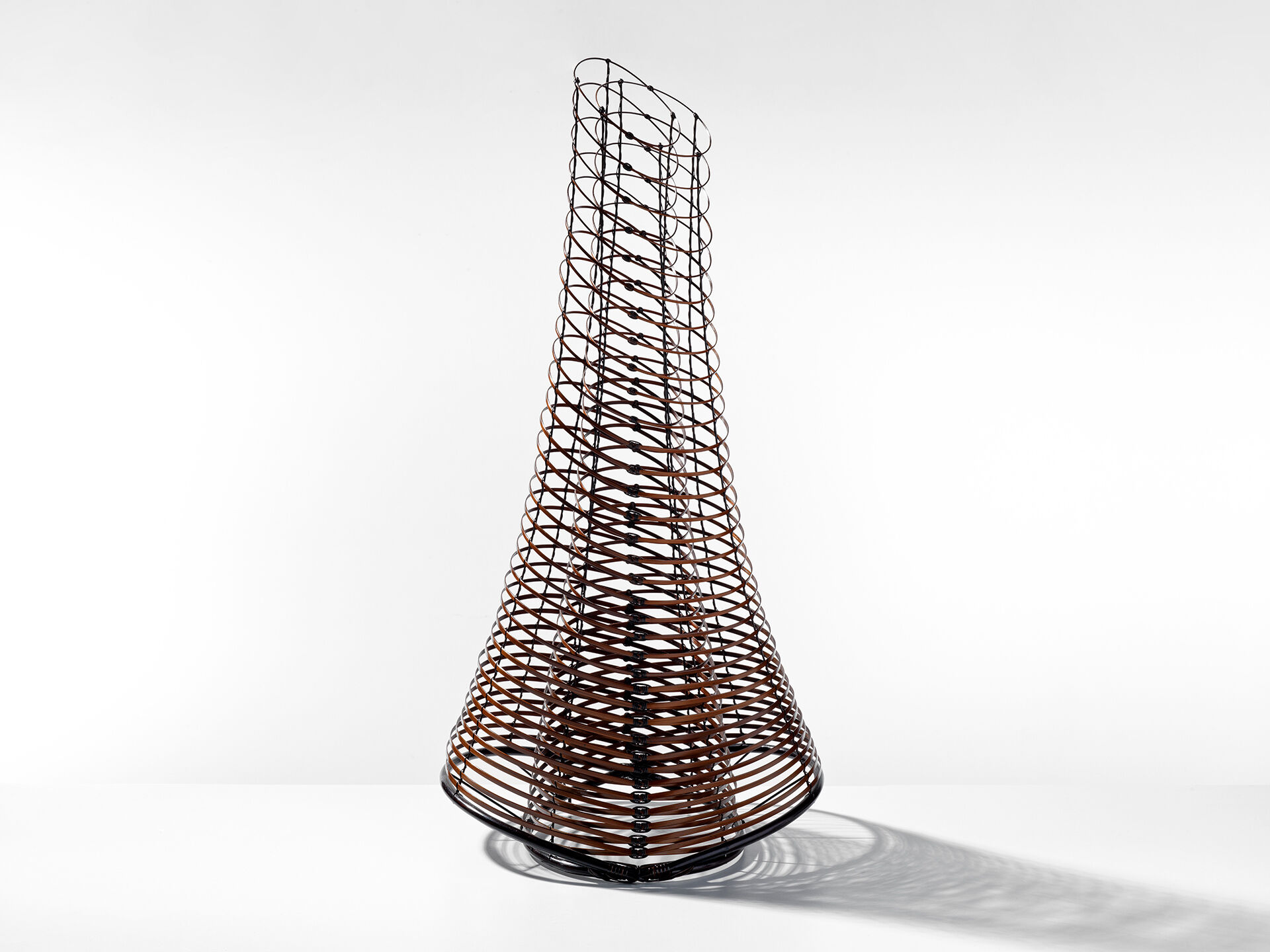 Chikuunsai IV Tanabe a 0002 01