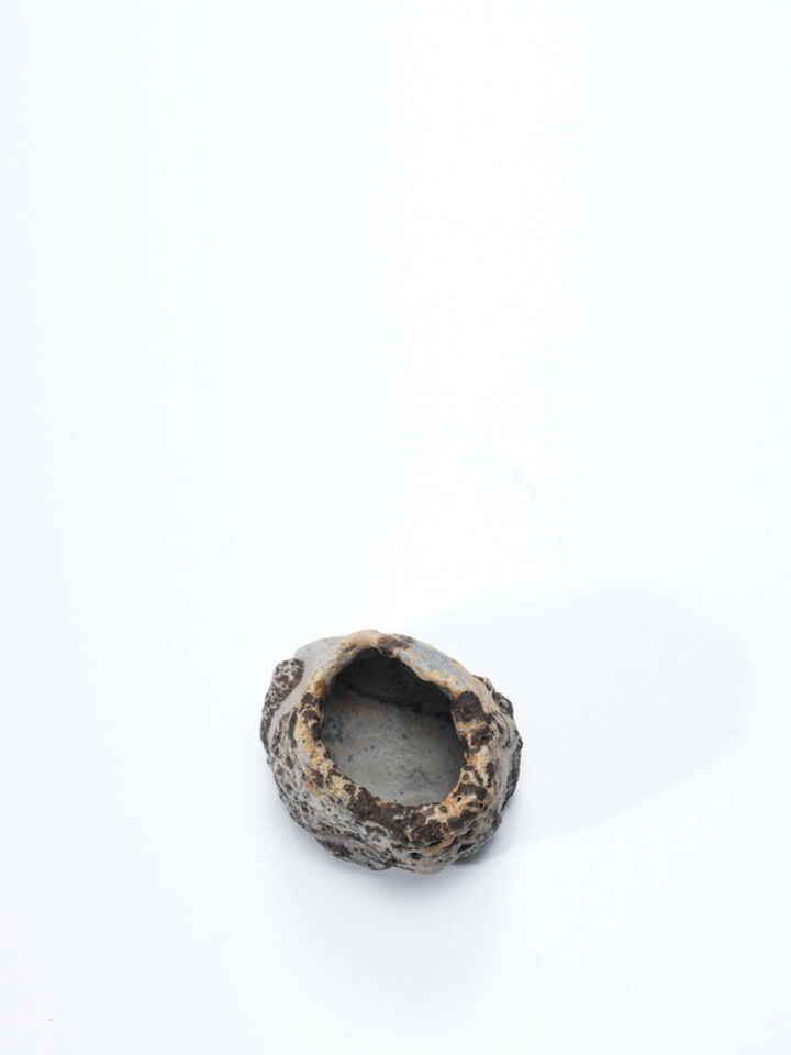 Ewen Henderson 0074 04