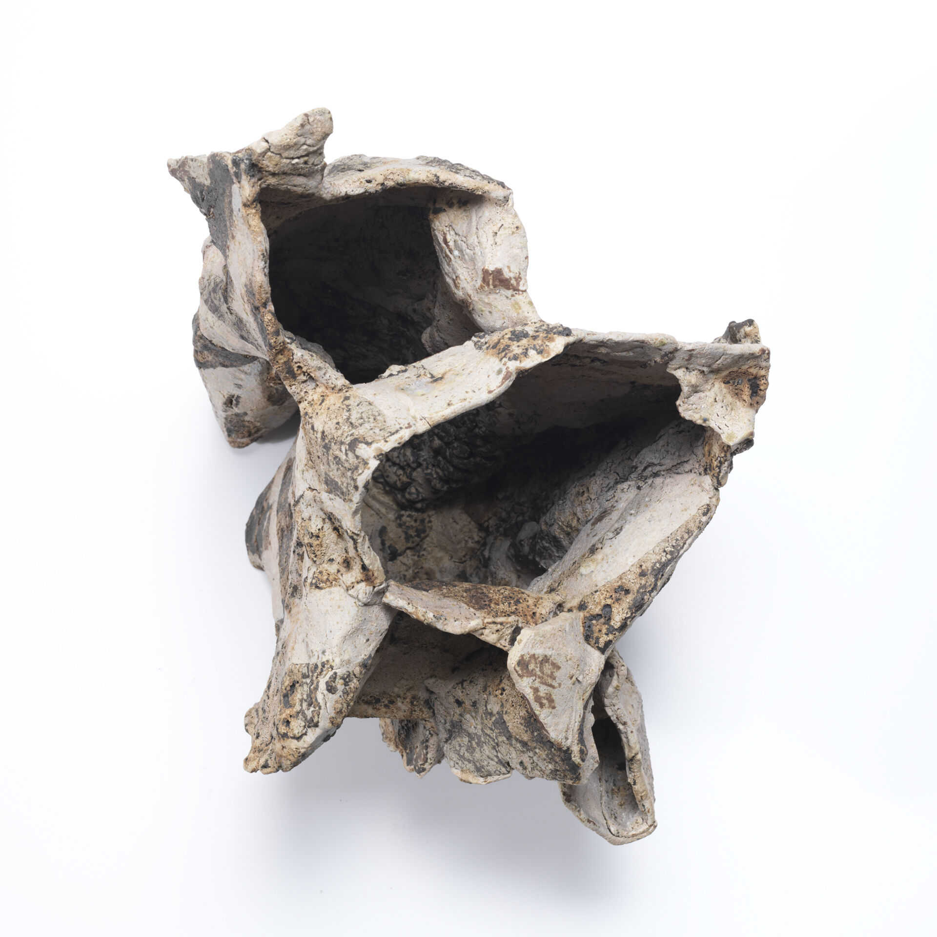 ewen henderson 0017 09