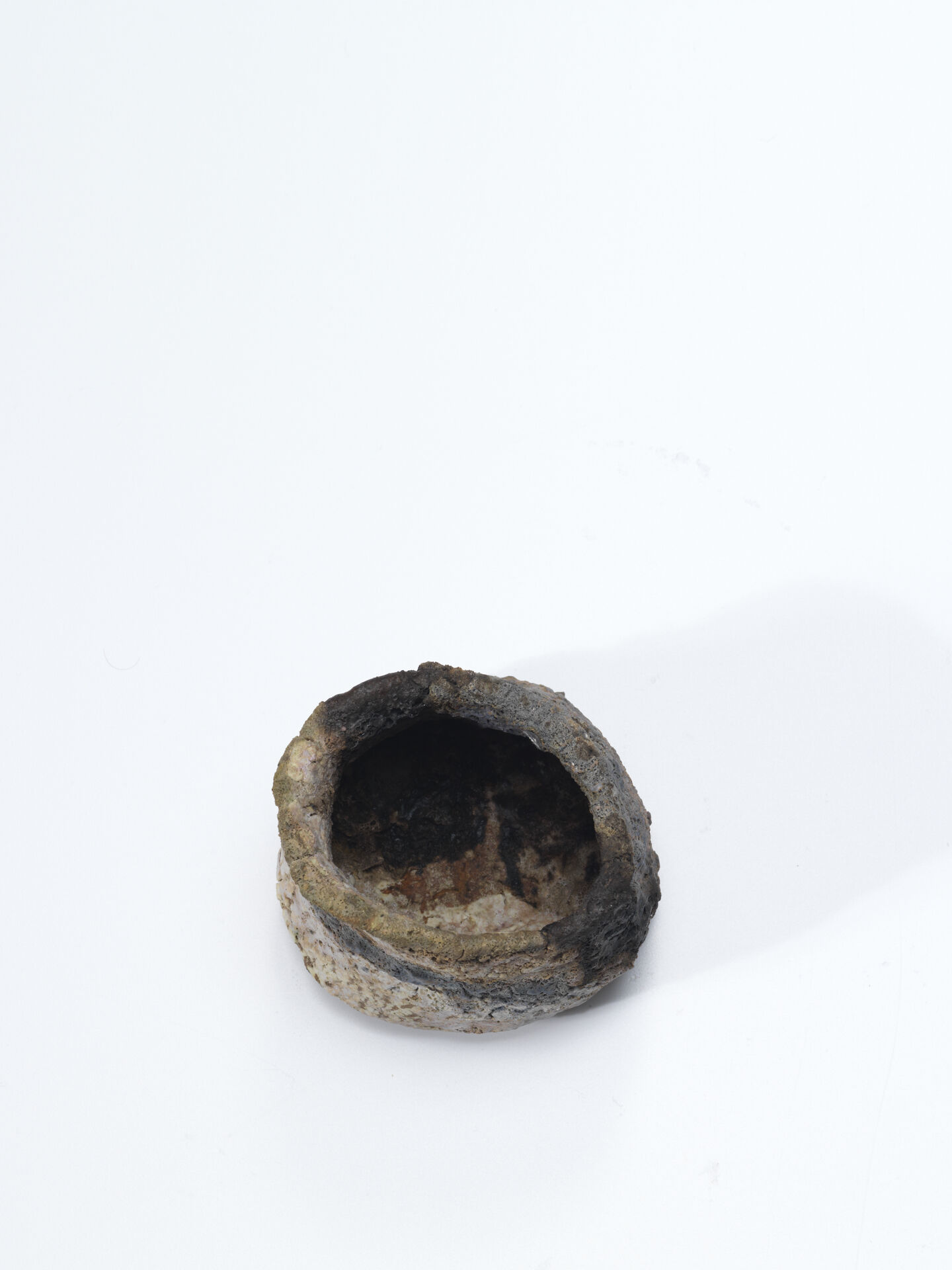 ewen henderson 0085 04