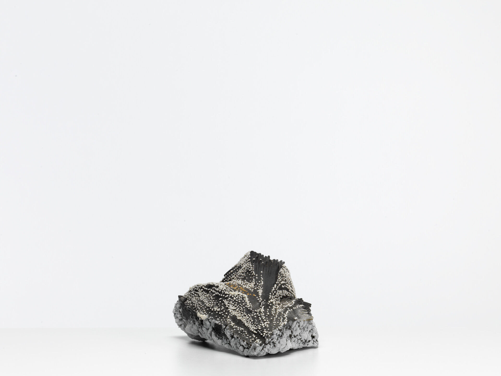 eriko inazaki 0005 02