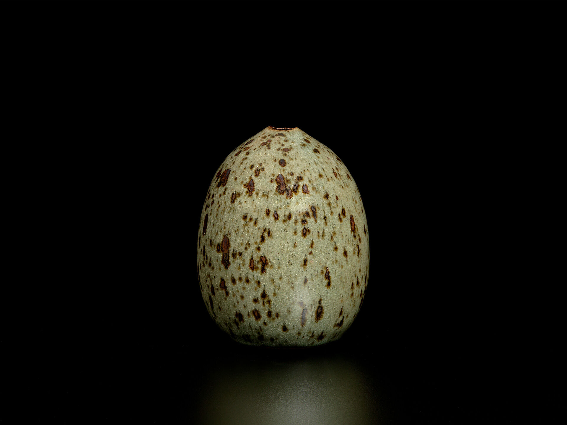 joanna constantinidis 0012 01