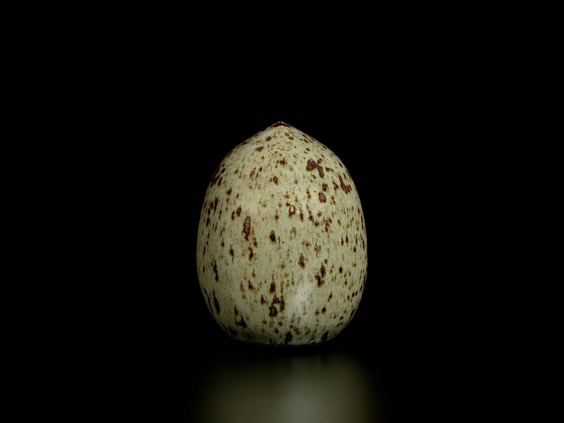 joanna constantinidis 0012 02