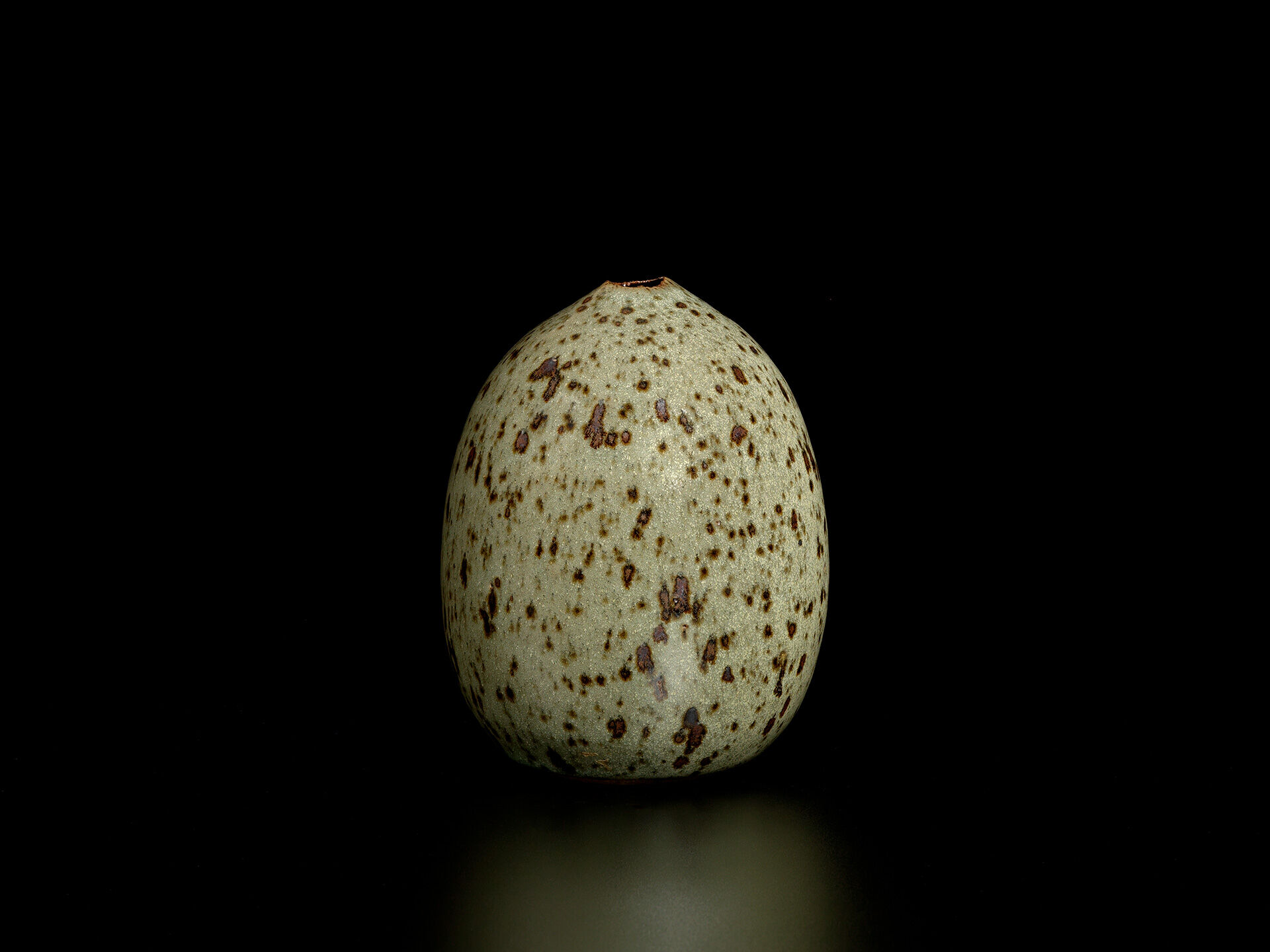 joanna constantinidis 0012 03