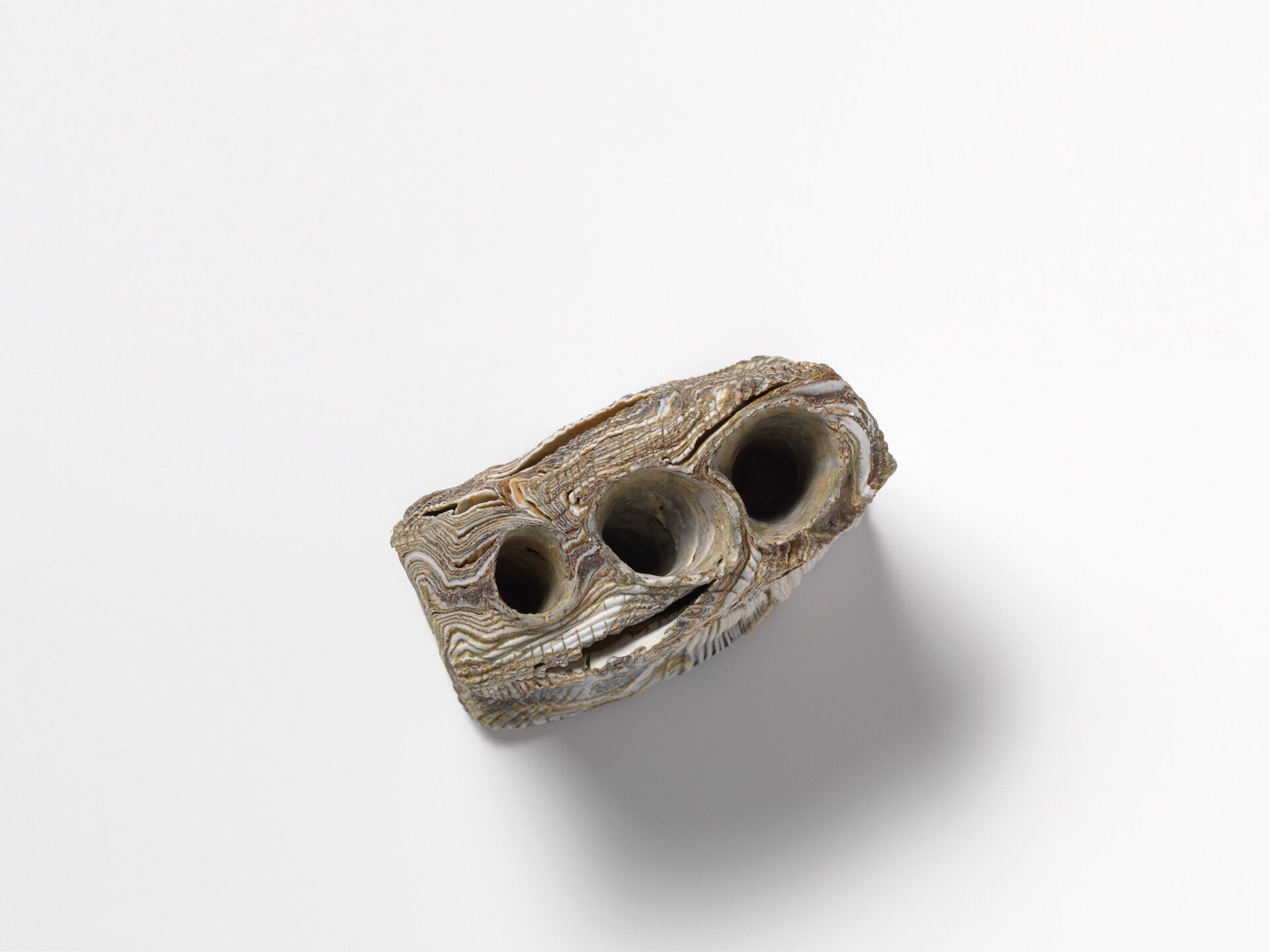 jacques kaufmann 0029