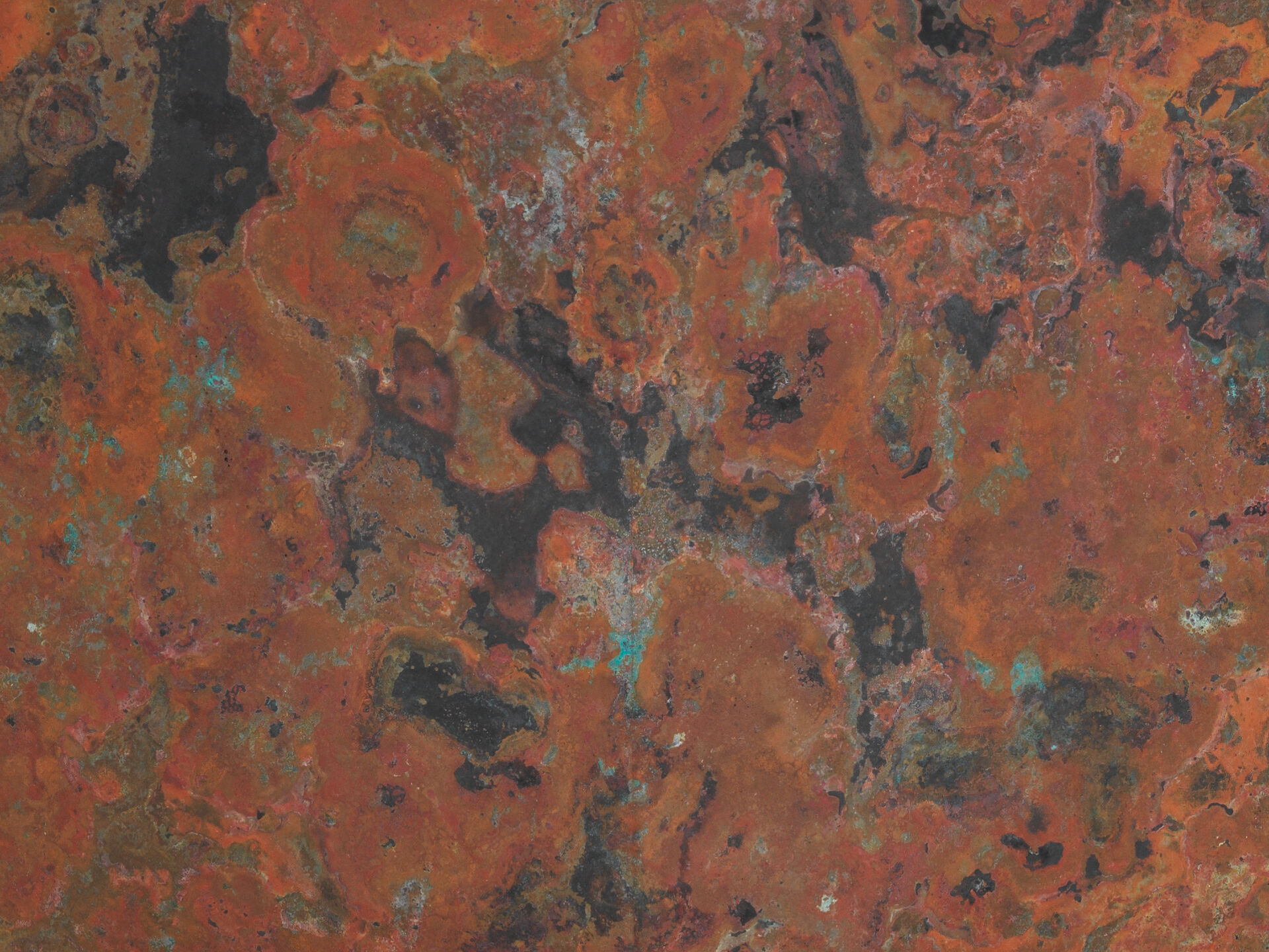 koji hatakeyama 0034 B