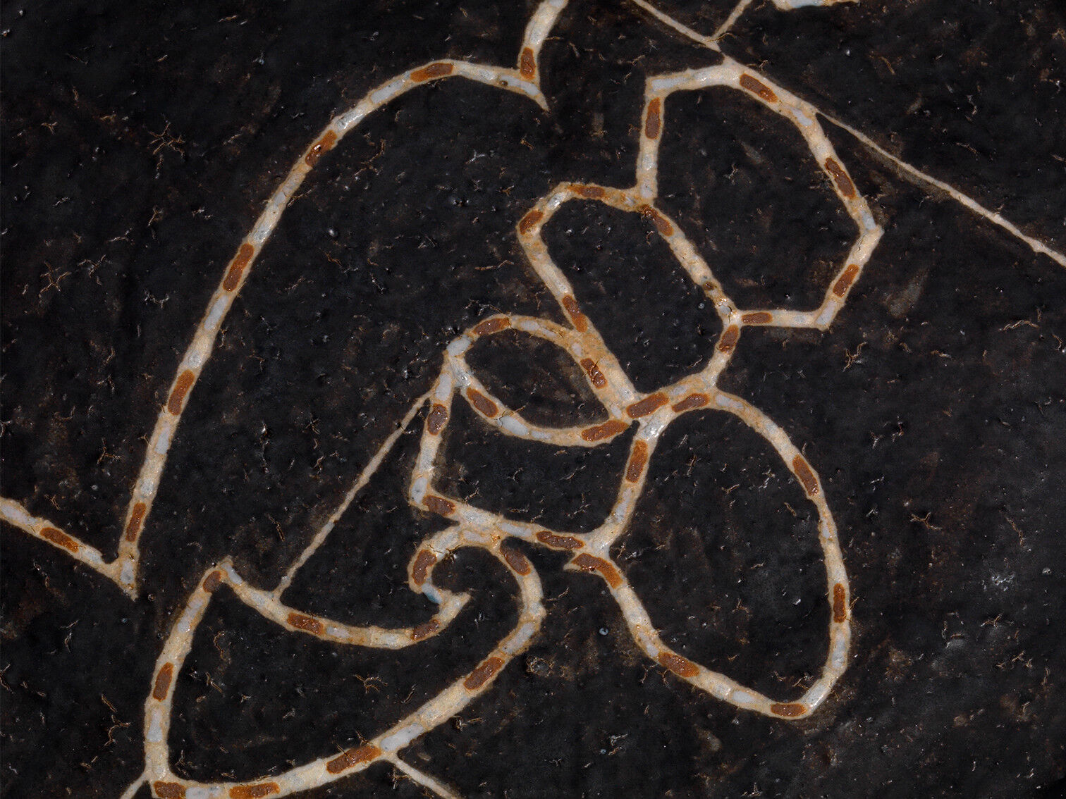 shoji kamoda KS 0003 a