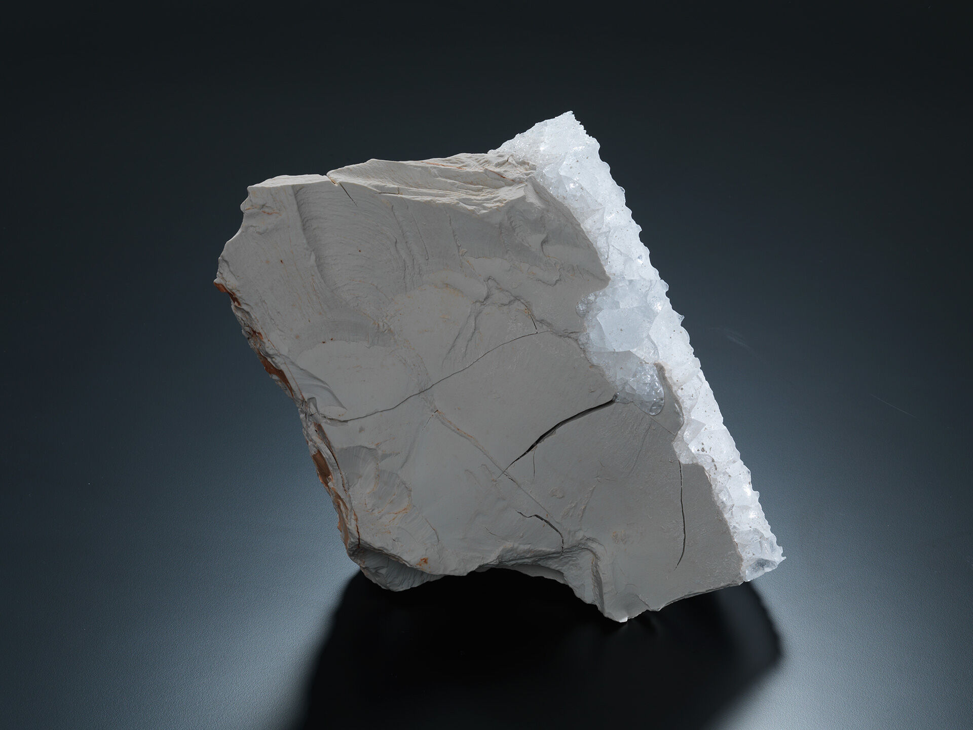 machiko ogawa c 0027 9