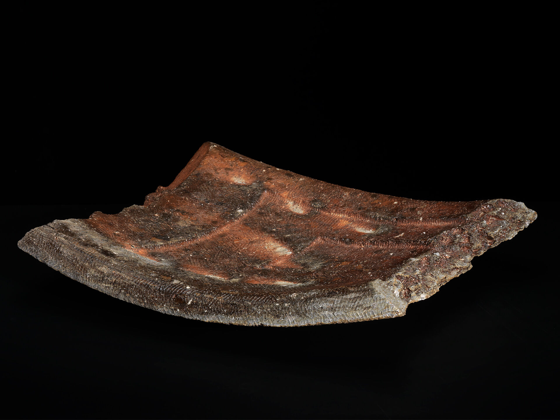 ryuichi Kakurezaki RKA 0007 b 03