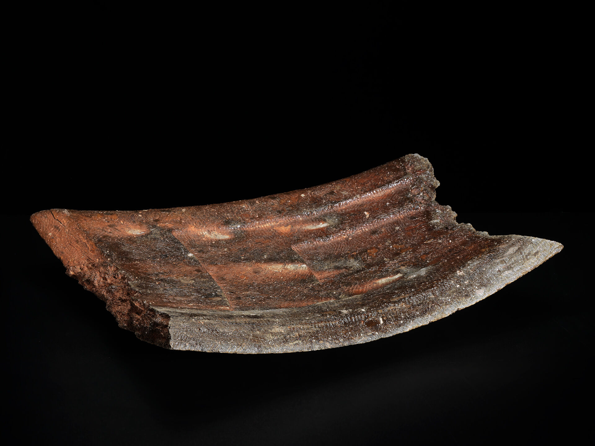 ryuichi Kakurezaki RKA 0007 b 04