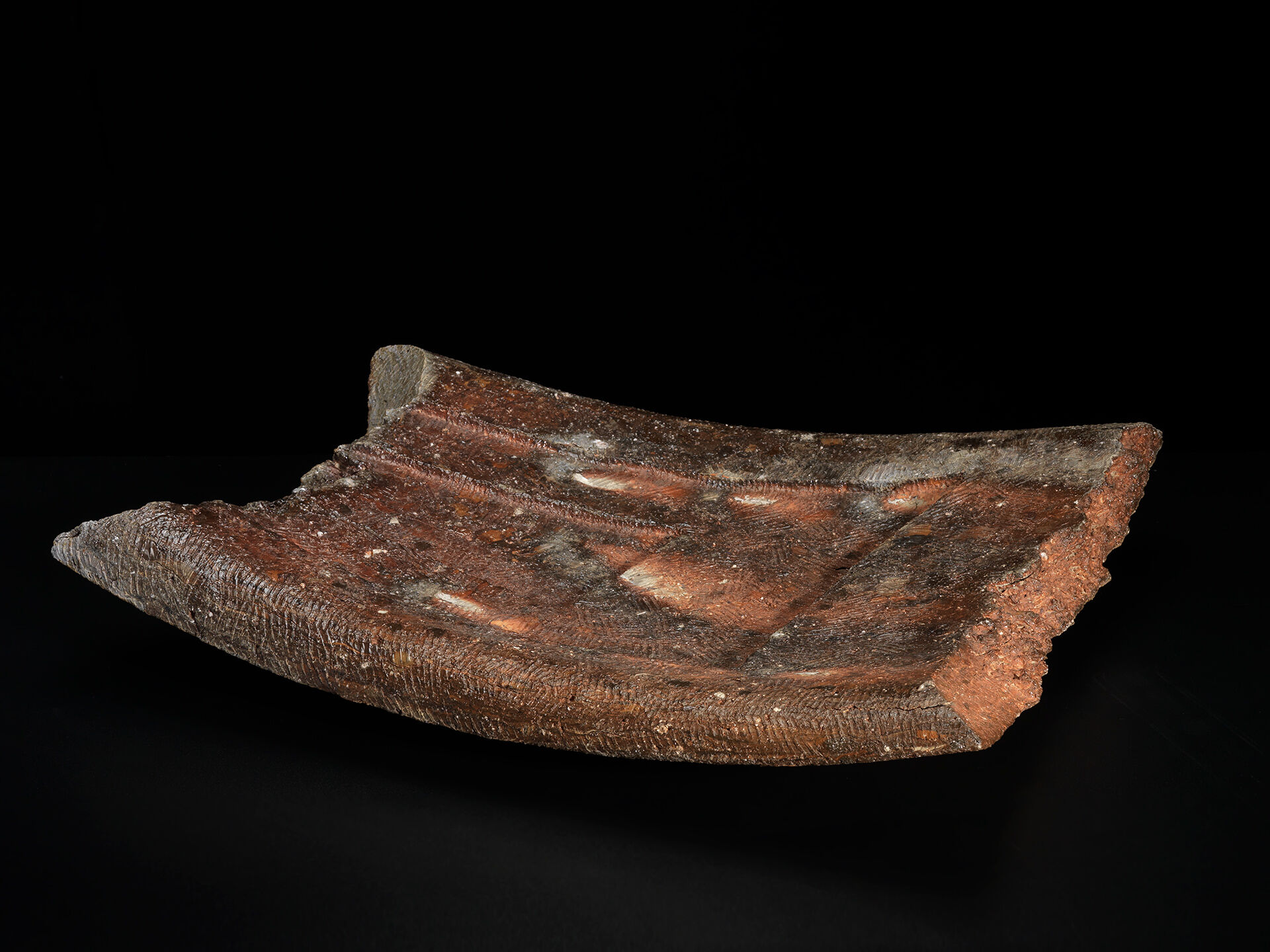 ryuichi Kakurezaki RKA 0007 b 05