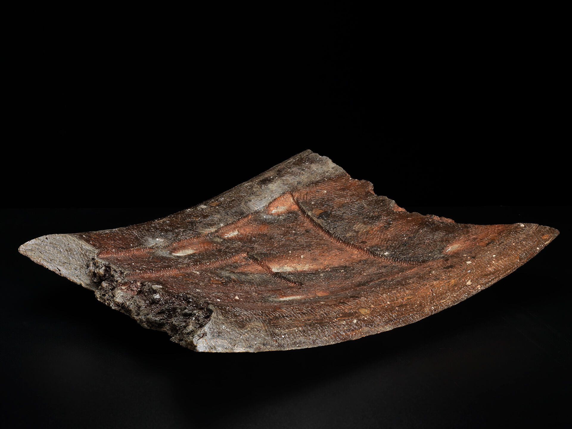 ryuichi Kakurezaki RKA 0007 b 06