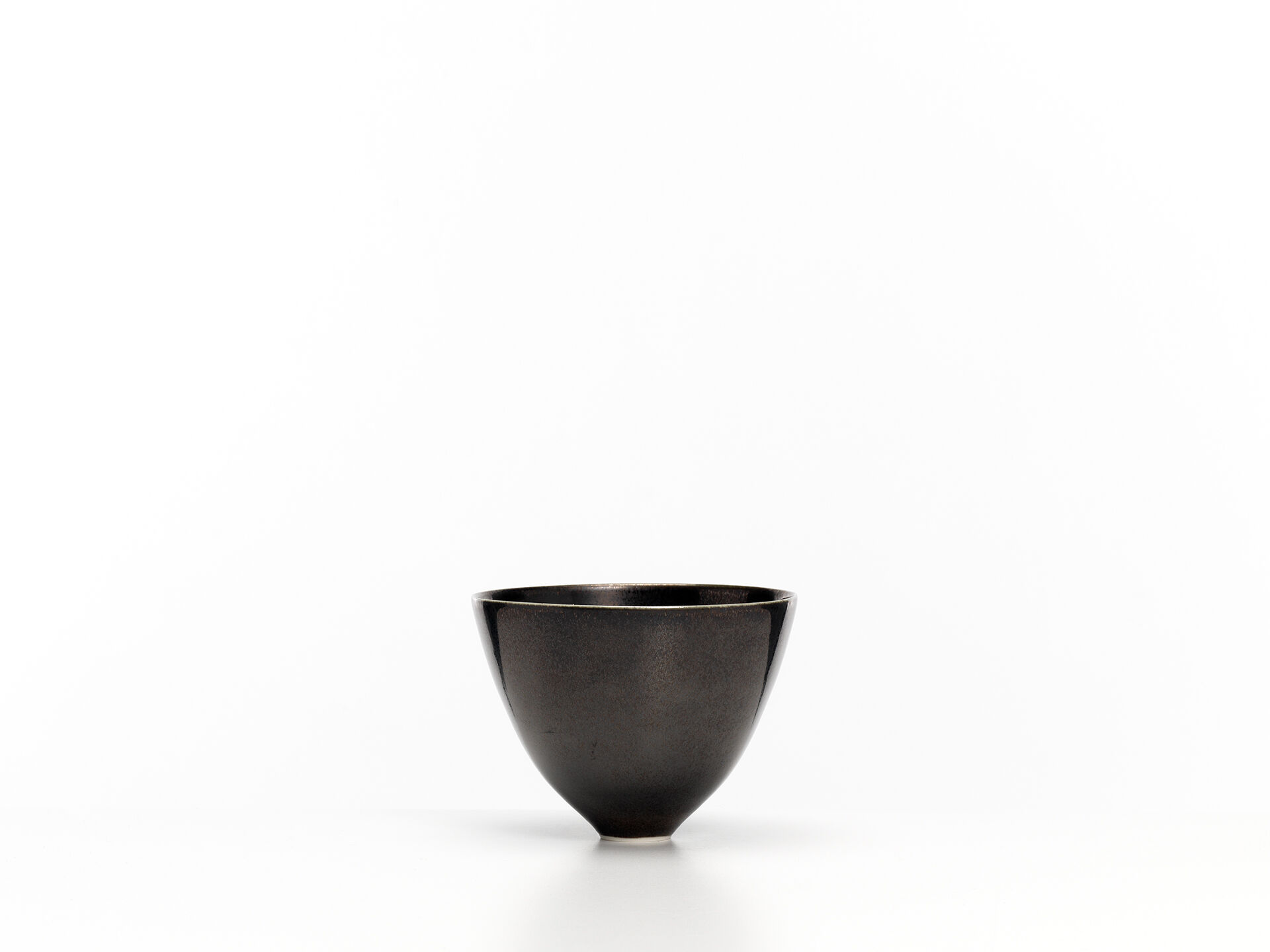 sara flynn 0365 01 v2