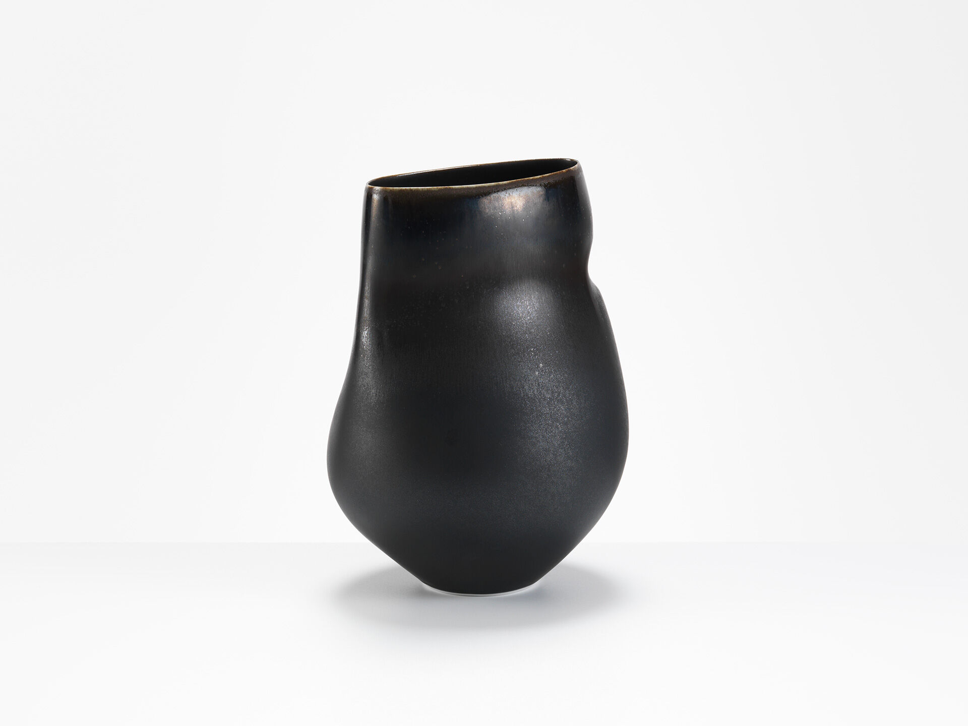 sara flynn wh 0167 03