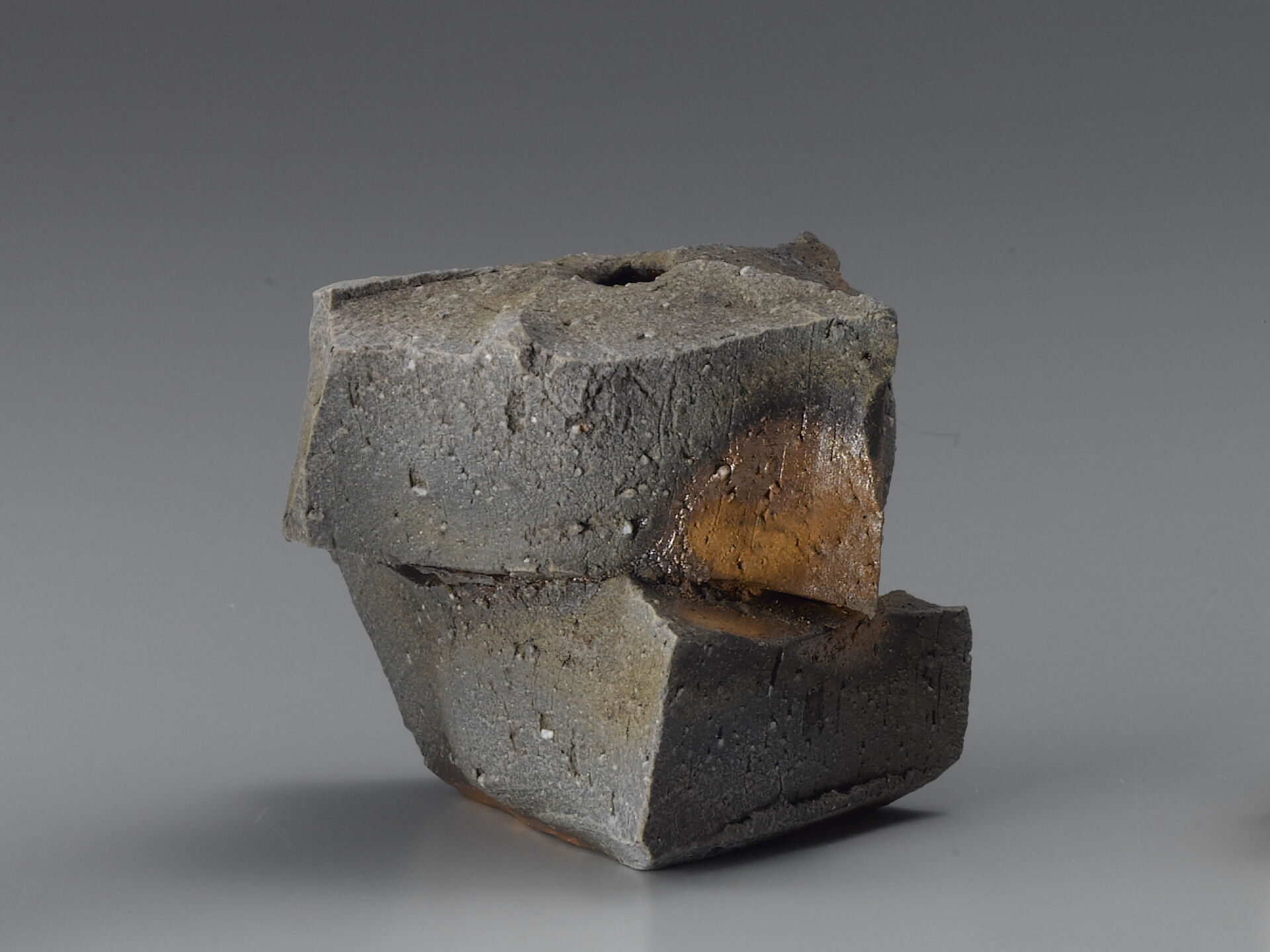shozo michikawa 0013