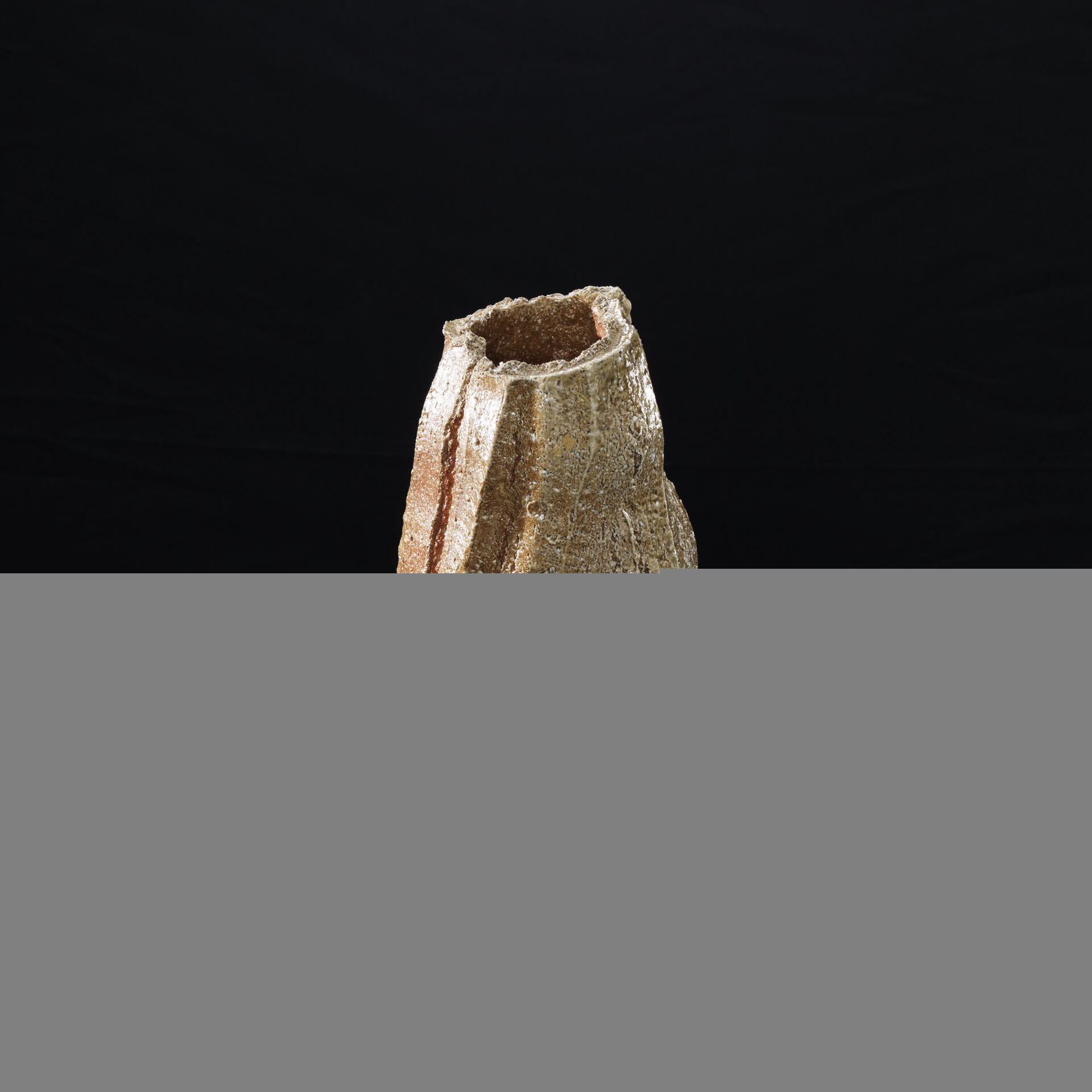 shozo michikawa 0213 04