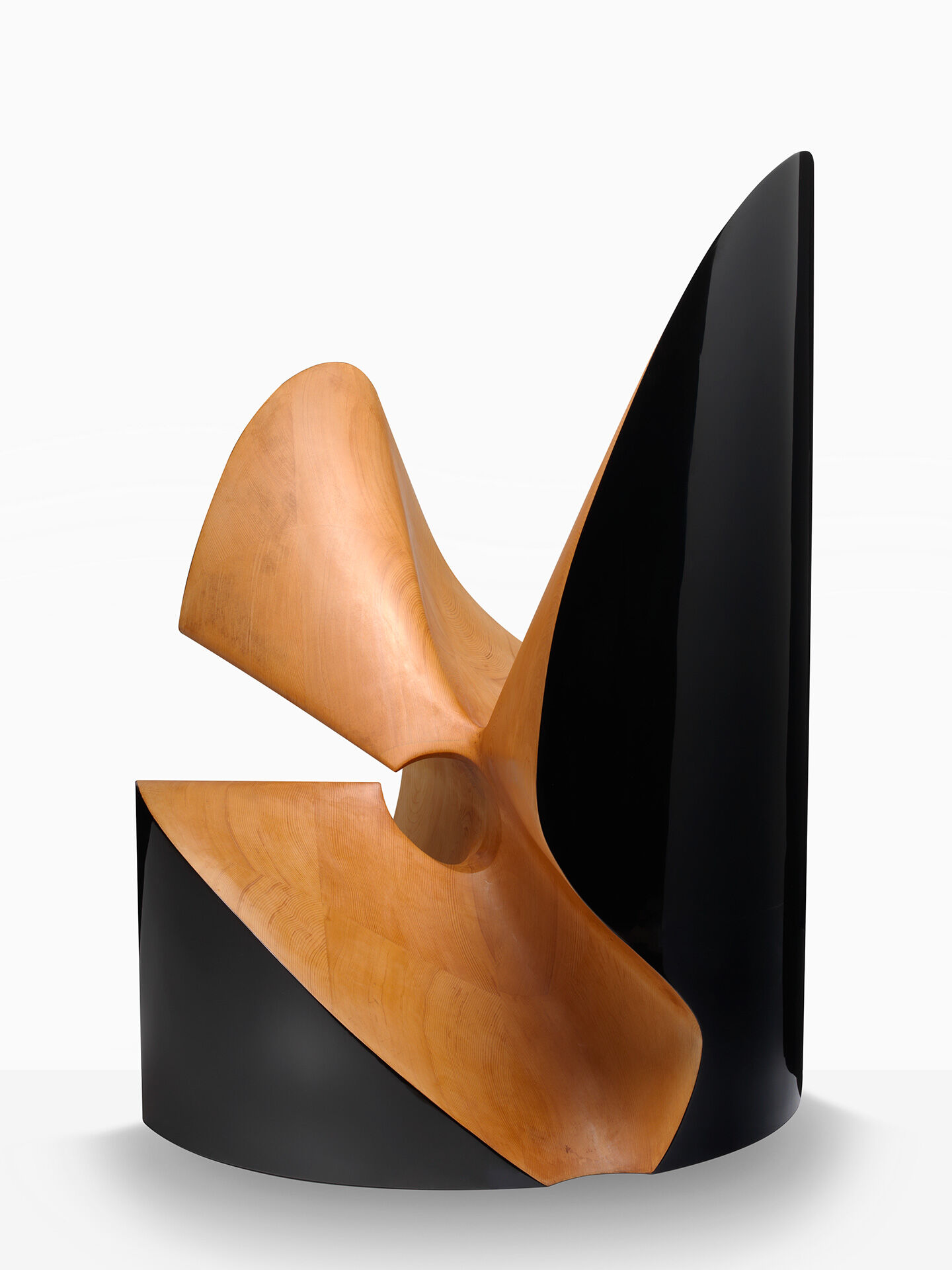 toshimasa kikuchi 0001 01